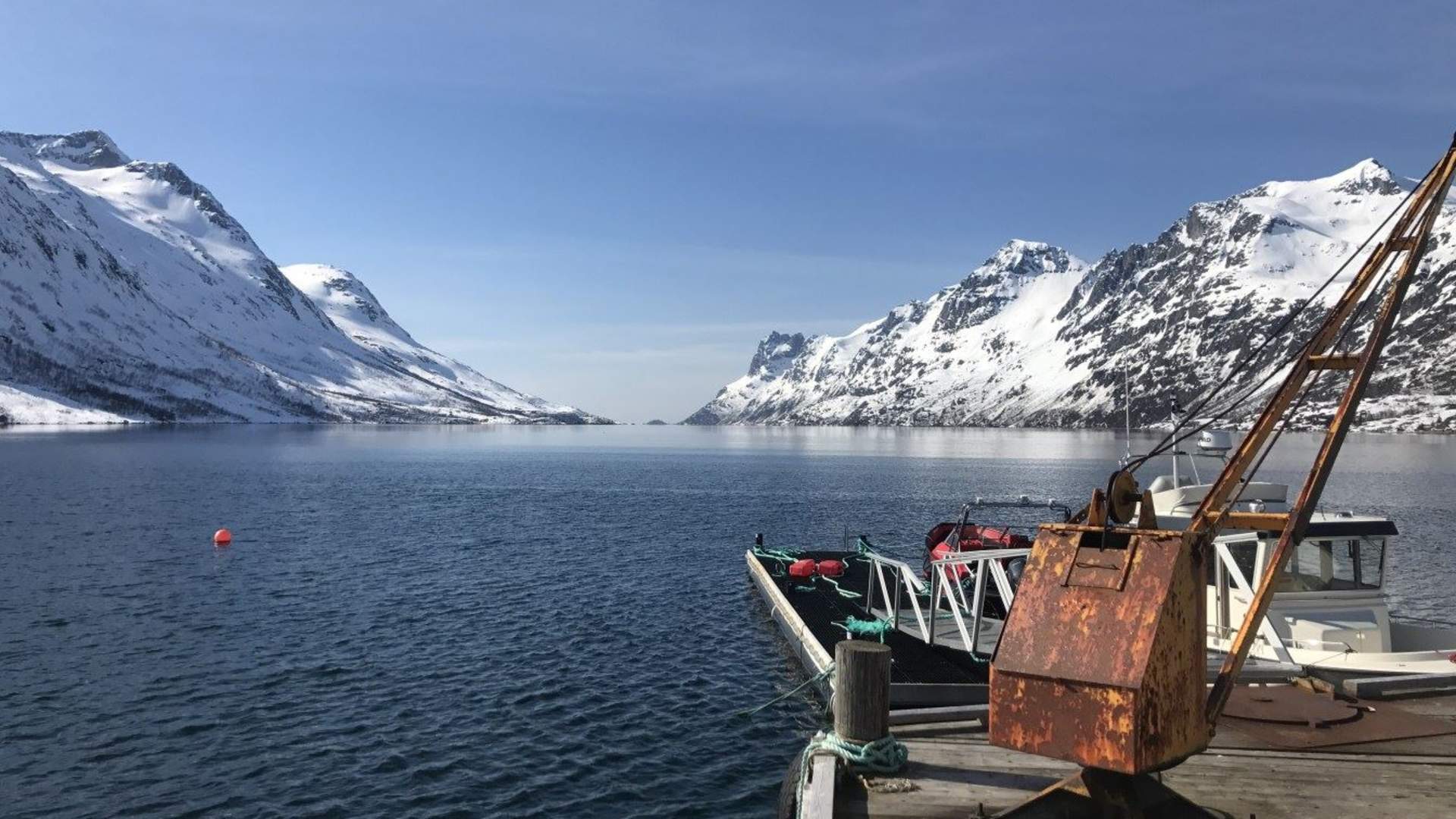 Arctic Fjord Sightseeing from Tromsø with our eco-friendly Tesla Model X