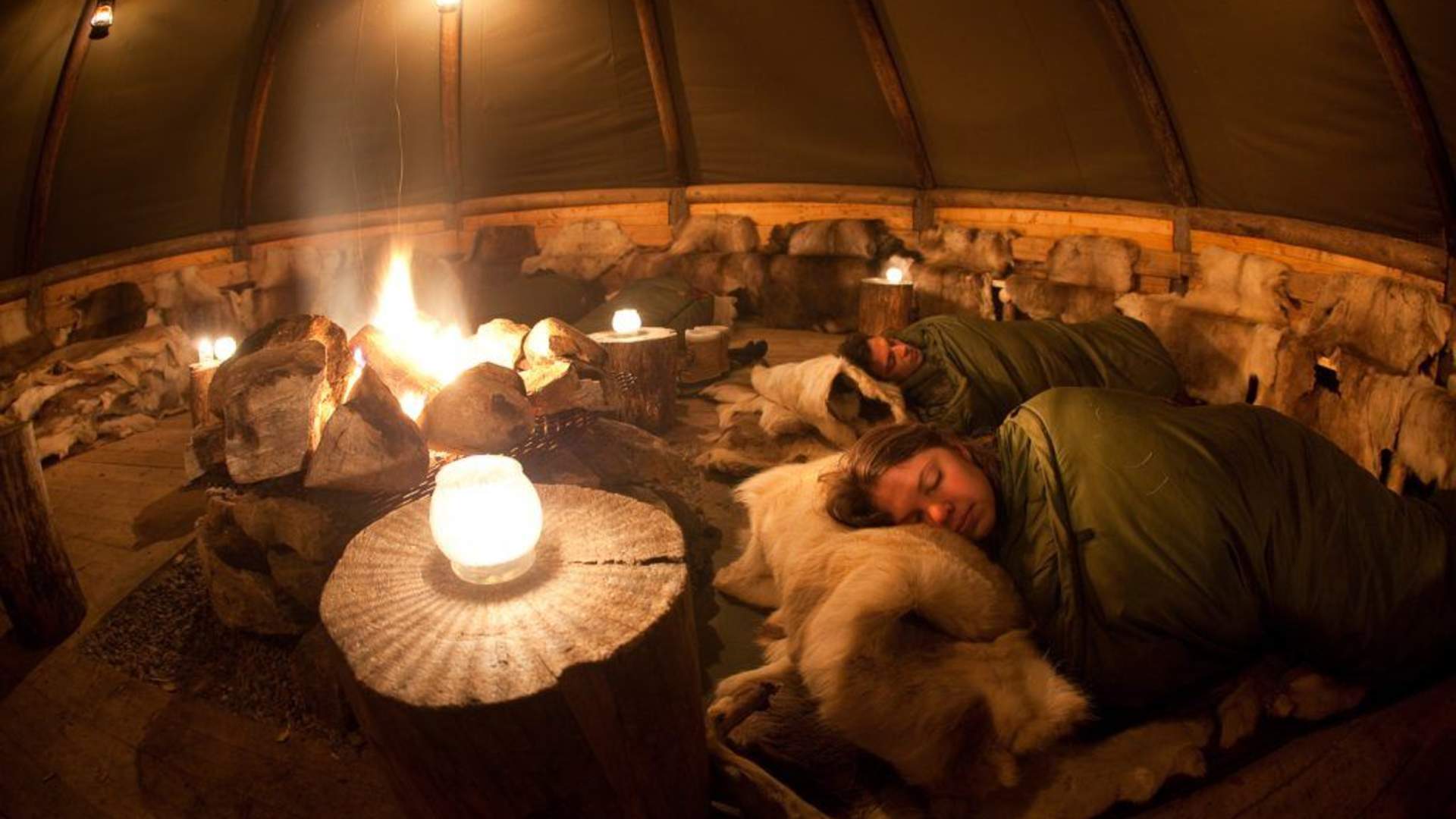 Nordlyscamp og Hundekjøring