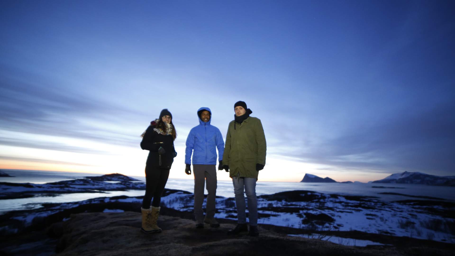 Nordlyssafari