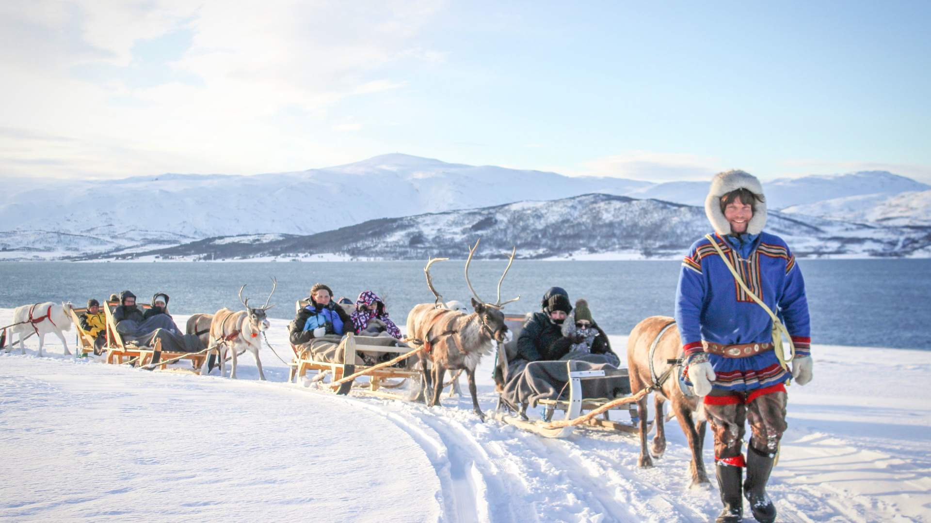 Reinsdyr mating, samisk historie og kort Reinsledetur