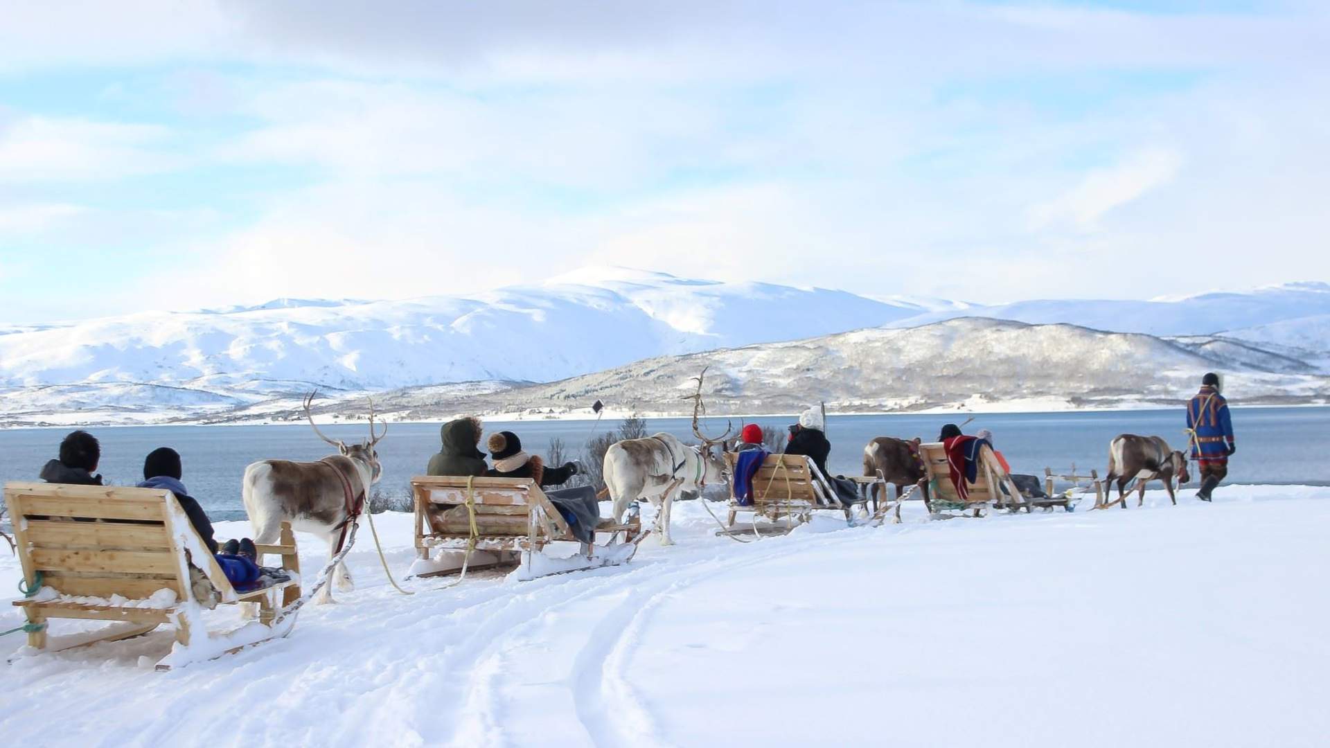 Reindeer Sledding, Reindeer Feeding and Sami Culture