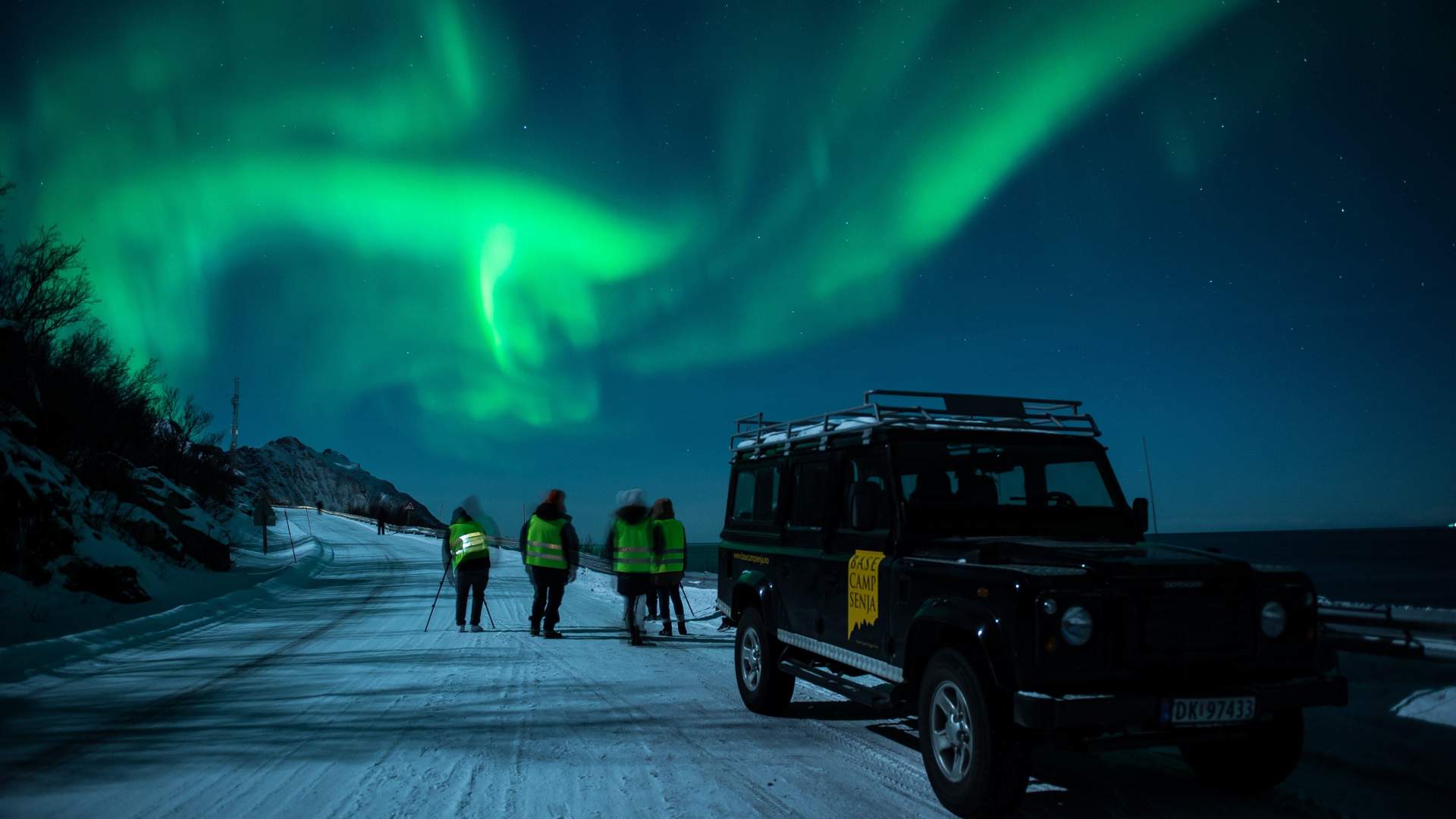 5 dagers Nyttårsekspedisjon med hvalsafari, hundesledetur og nordlys på Senja. Alt inkludert!