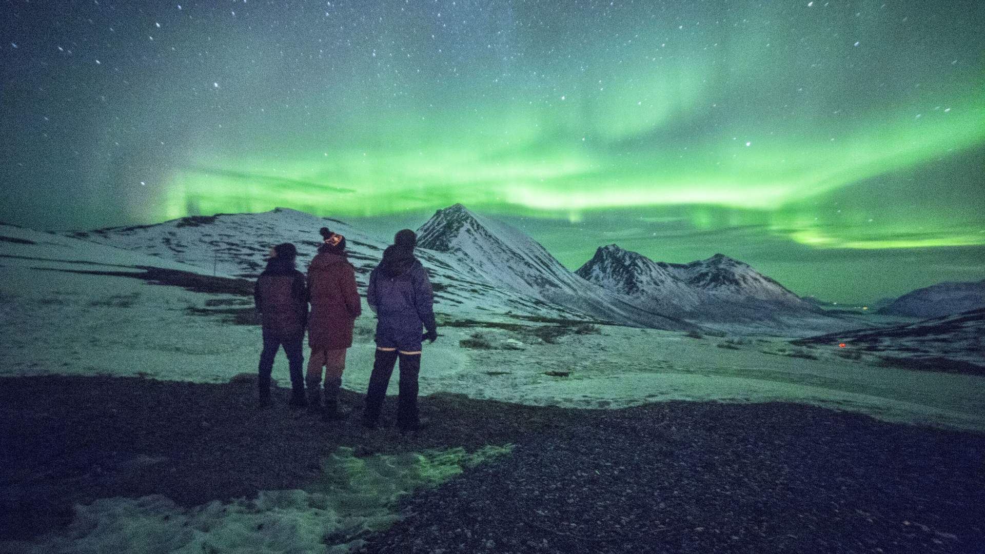 Nordlyssafari