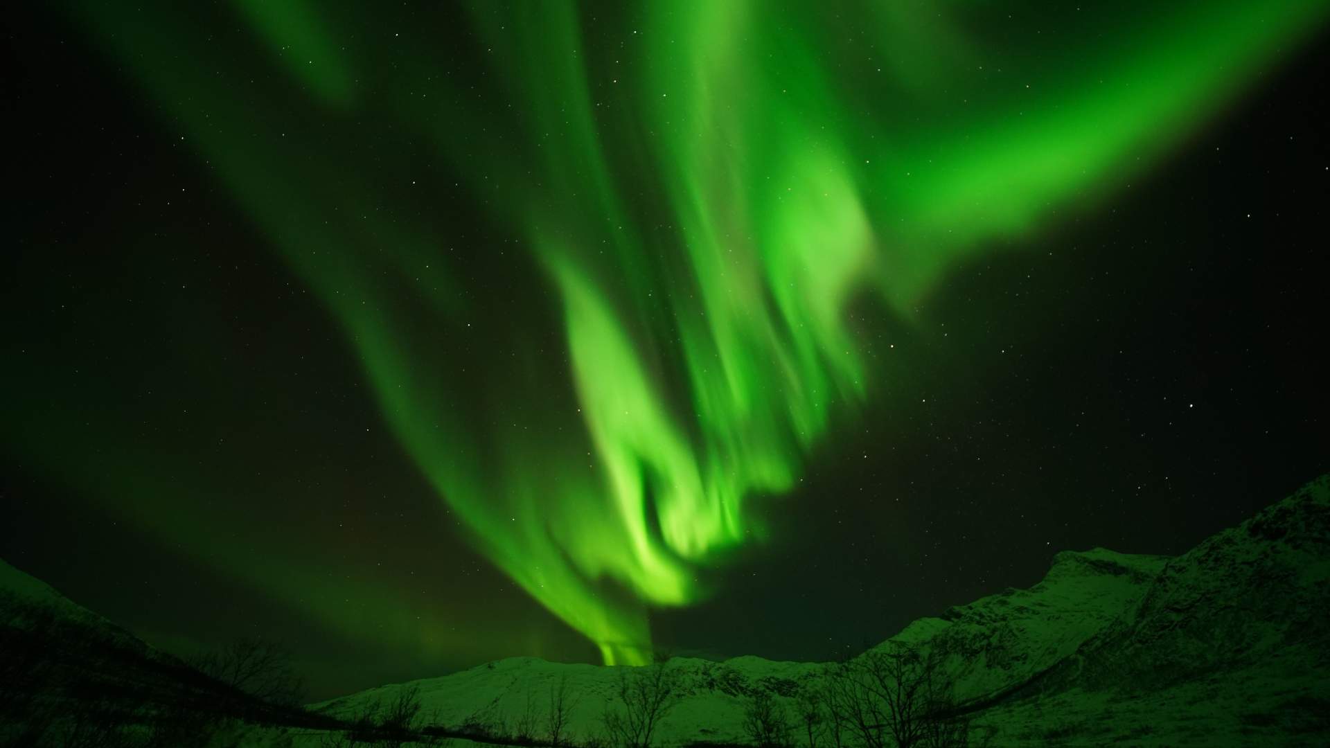 Amazing Aurora Tour