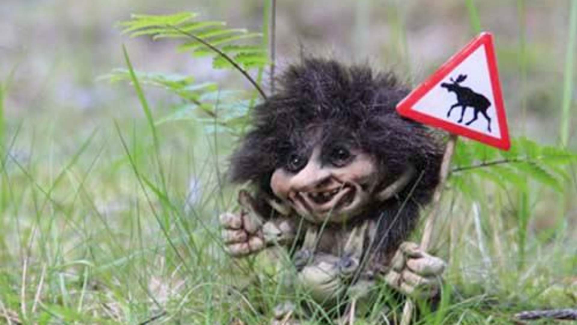 Bjørg AS / Bagorama