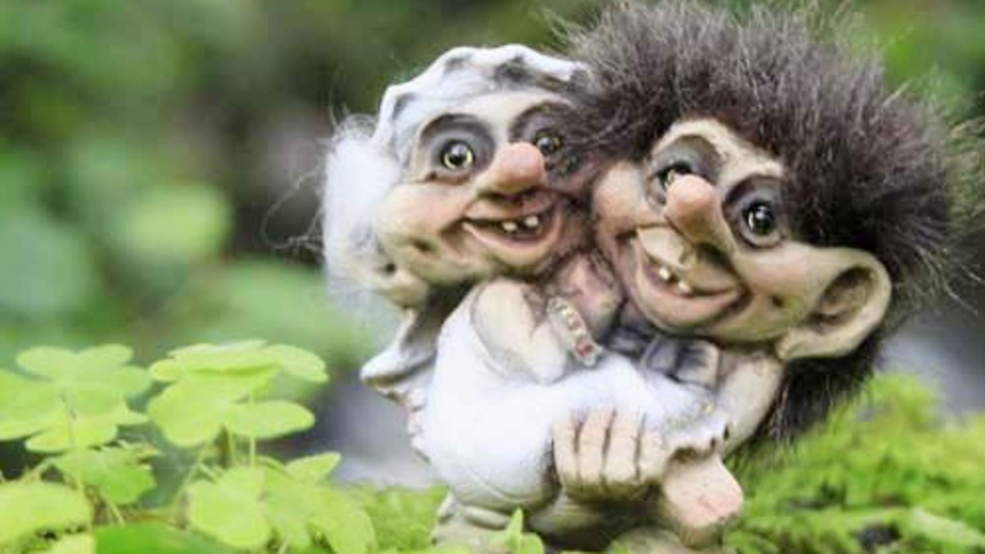 Bjørg AS / Bagorama