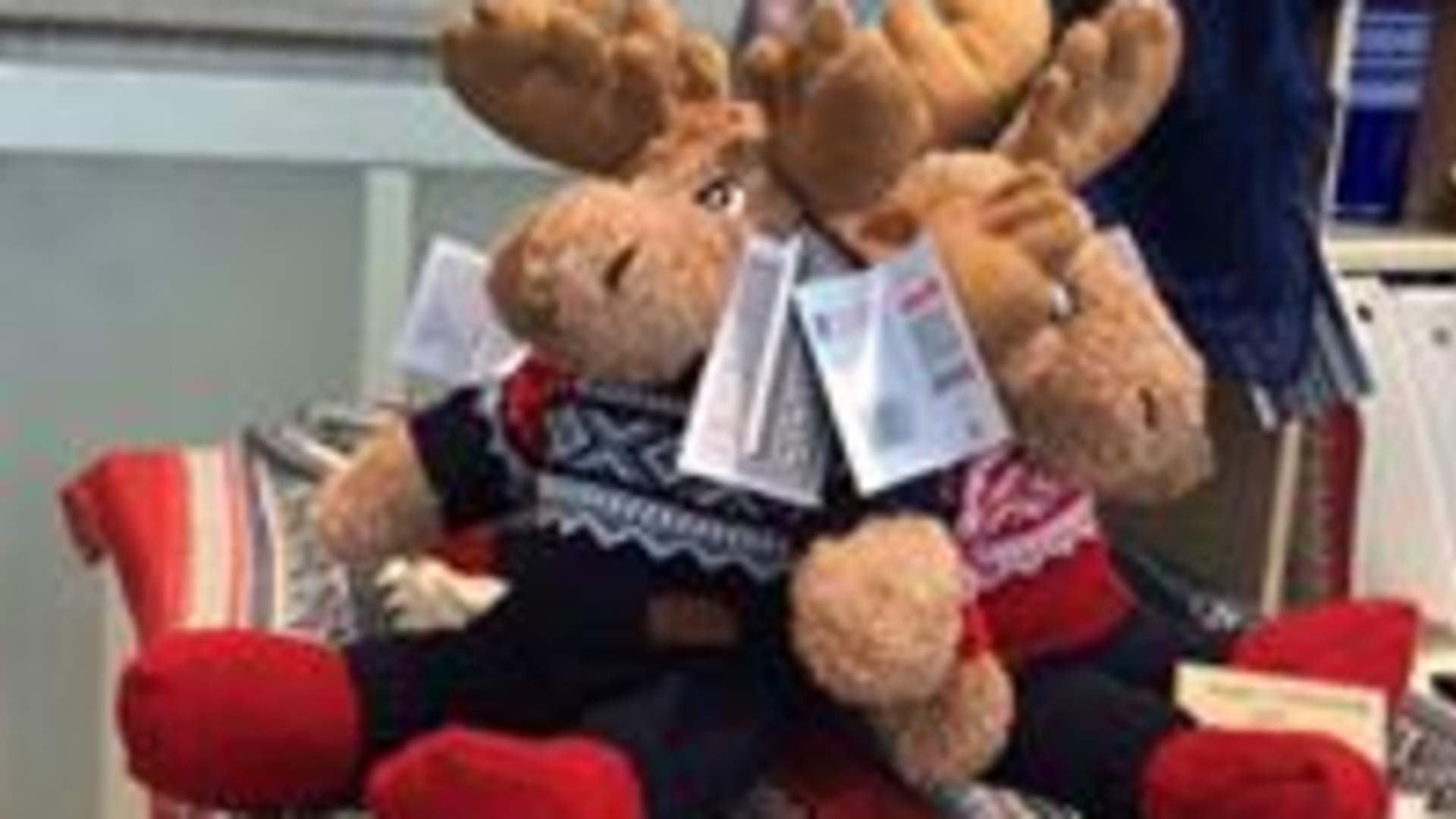 Bjørg AS / Bagorama