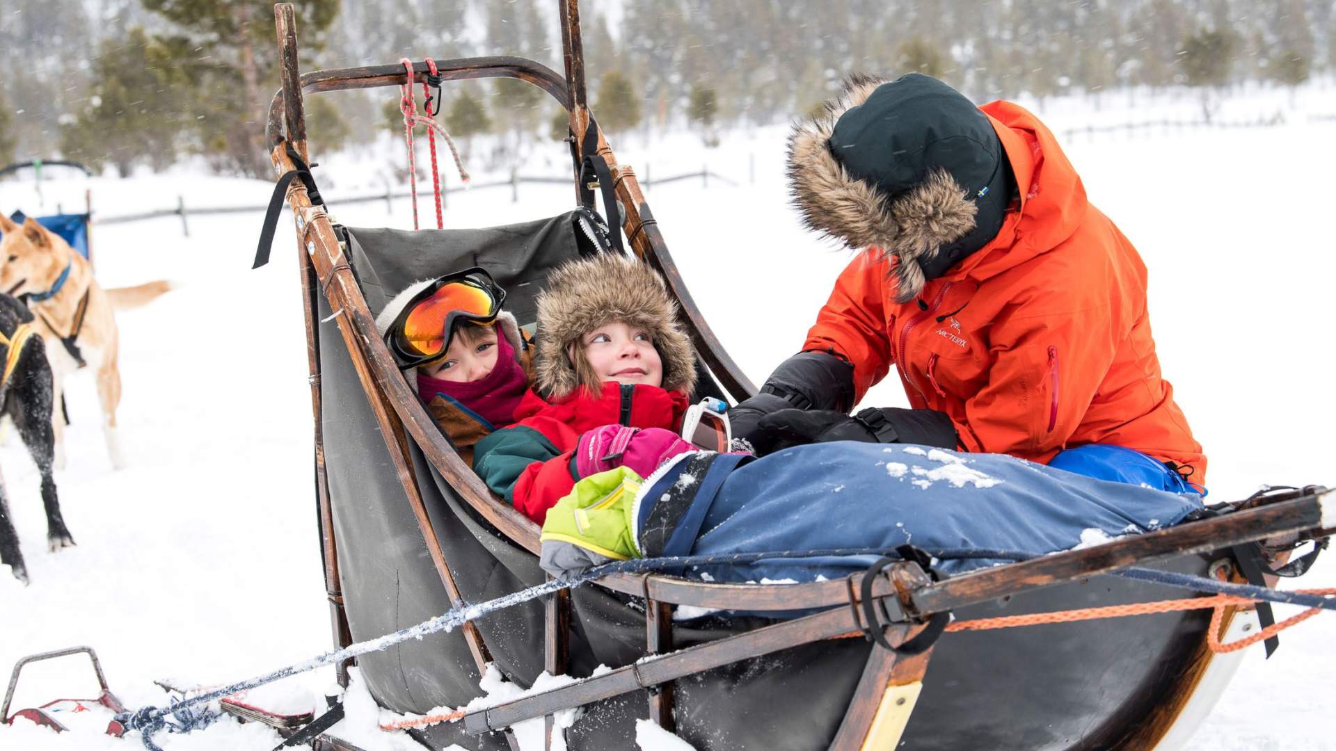 Hundekjøring i Jotunheimen | Sjodalen Hyttetun