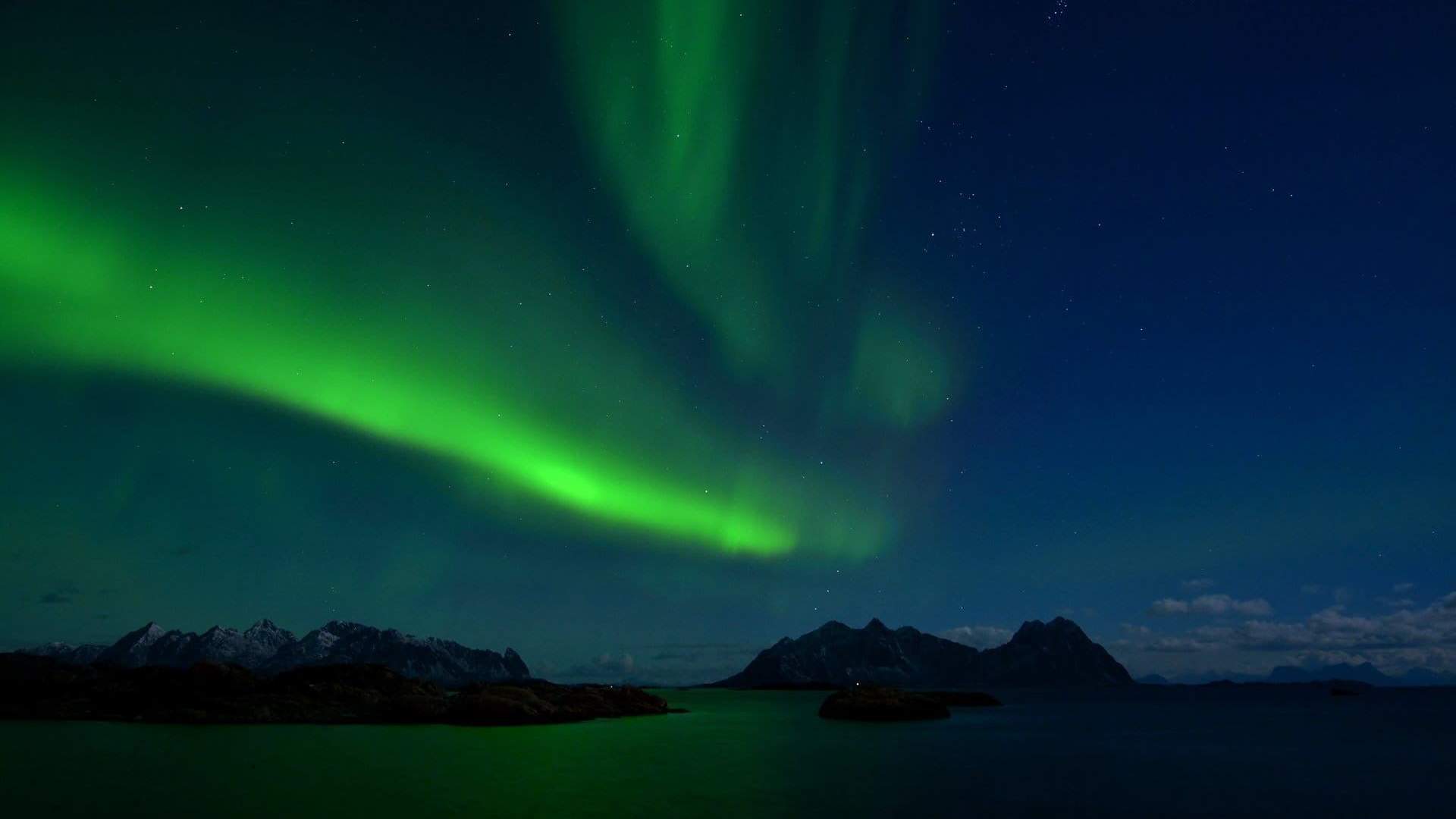 RIB havørn safari til Trollfjord med RIB-Lofoten - VINTER