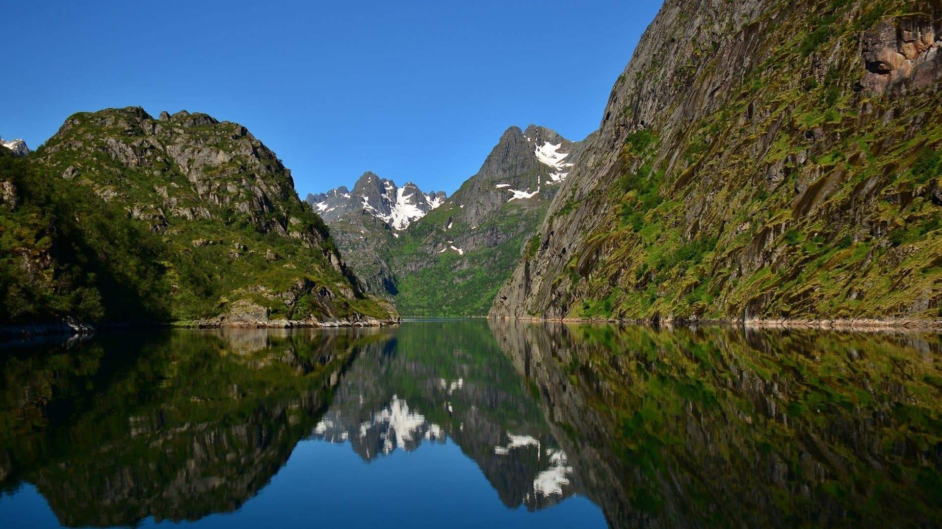 RIB Sea Eagle Safari to Trollfjord with RIB Lofoten - SOMMER (copy)