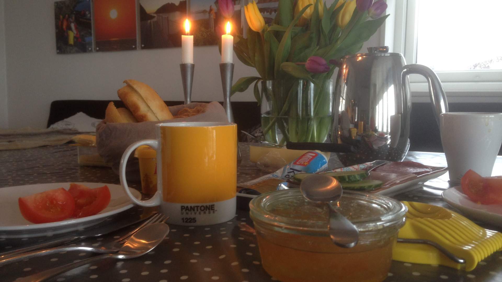 5 dagers Nyttårsekspedisjon med hvalsafari, hundesledetur og nordlys på Senja. Alt inkludert!