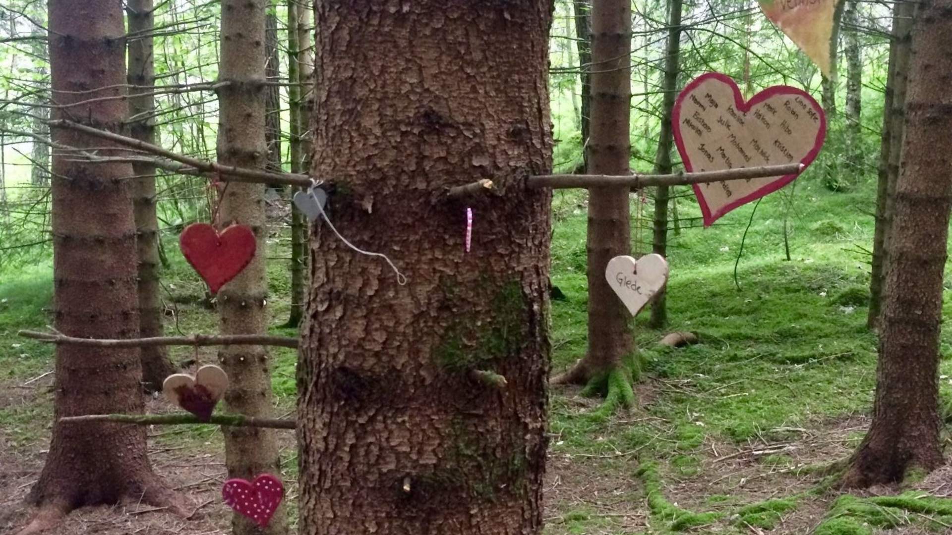 Trivselsskogen