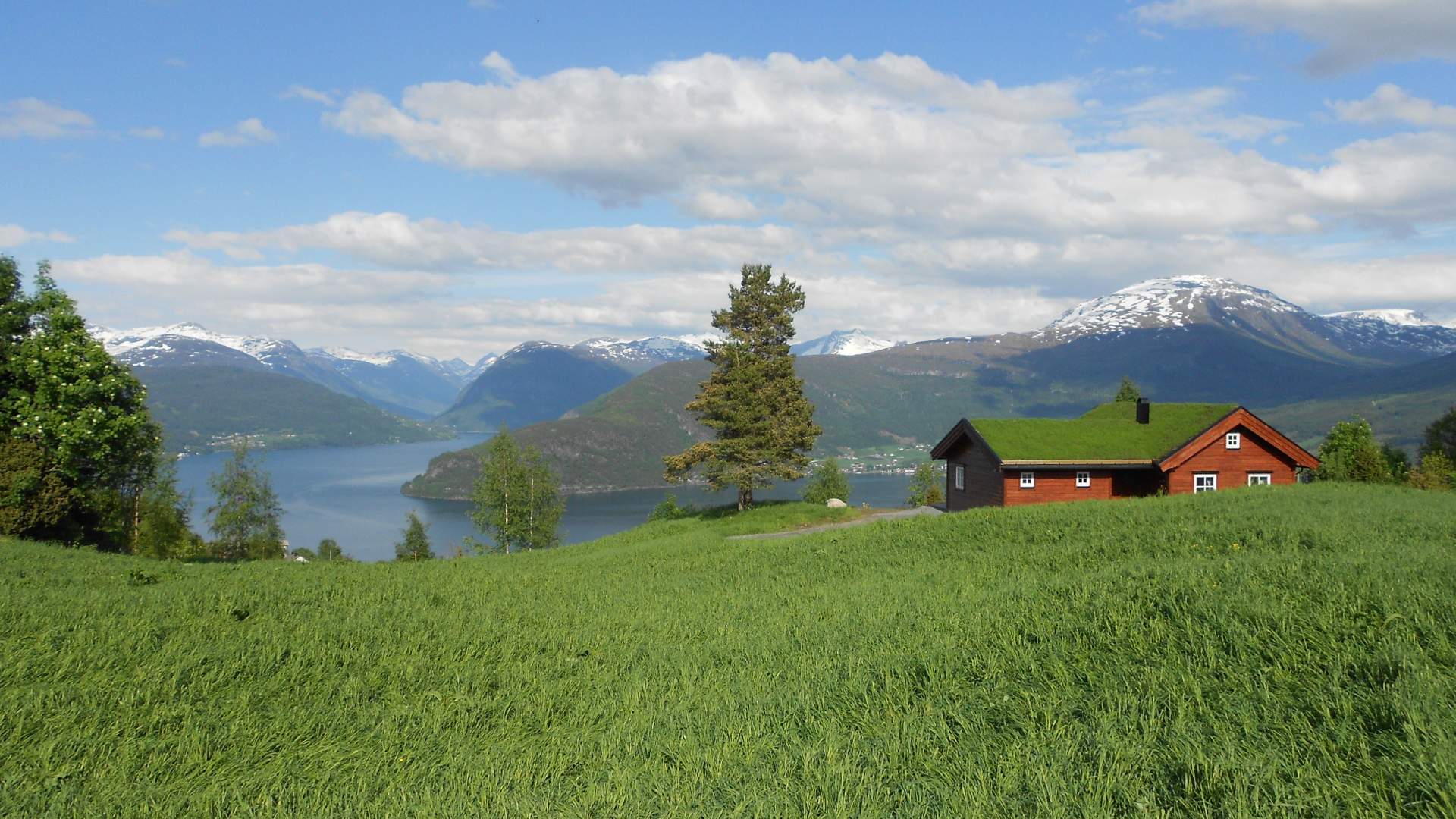 Roset Panorama