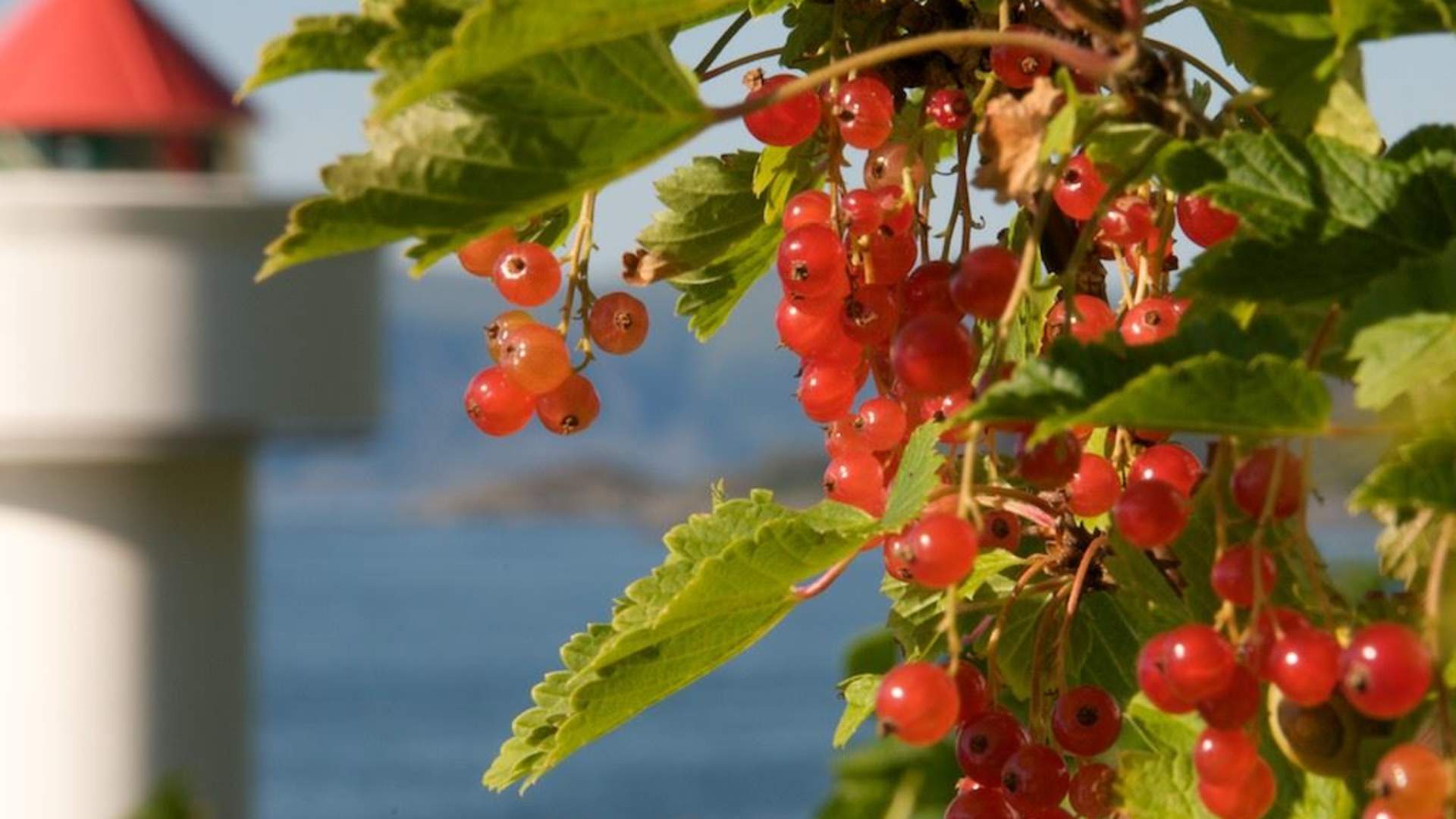 Ulvesund Fyr (lighthouse)
