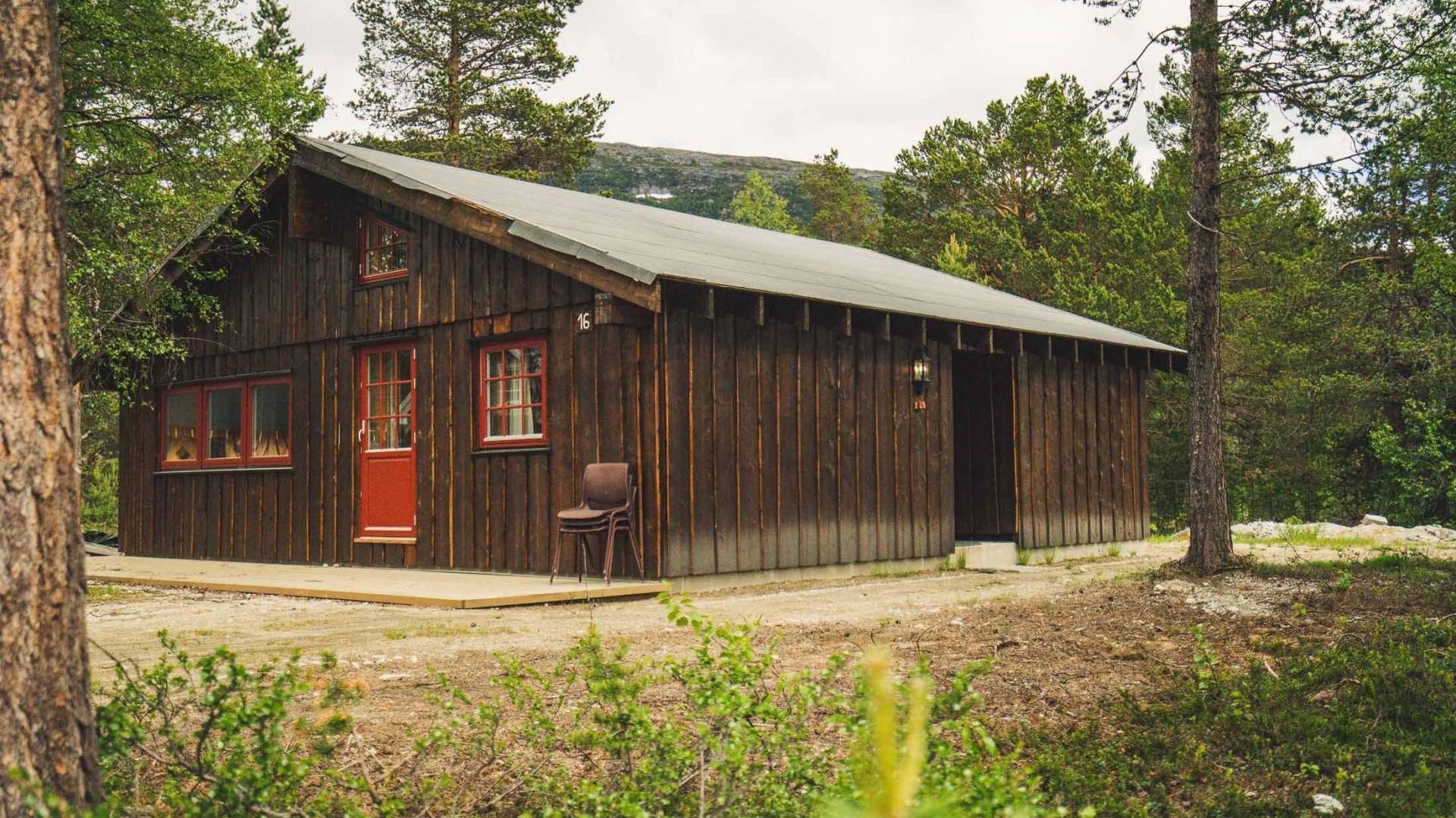 Hytte på bjorliheimen