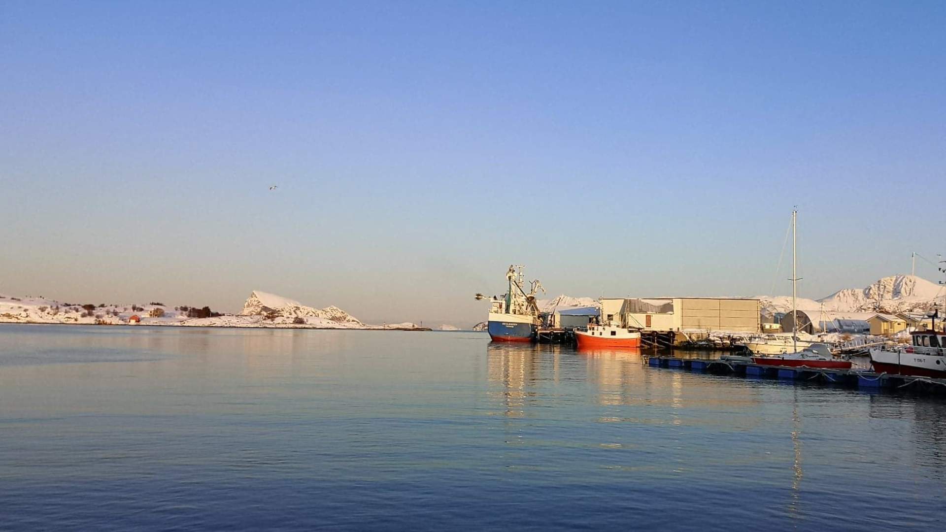 Liten gruppe Arktisk fjordtur