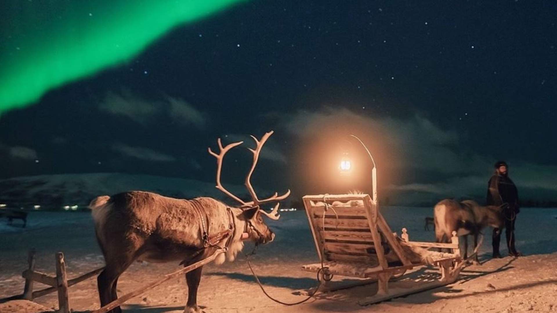 Reinsledetur, Reinsdyrcamp Middag med Nordlyssjanser