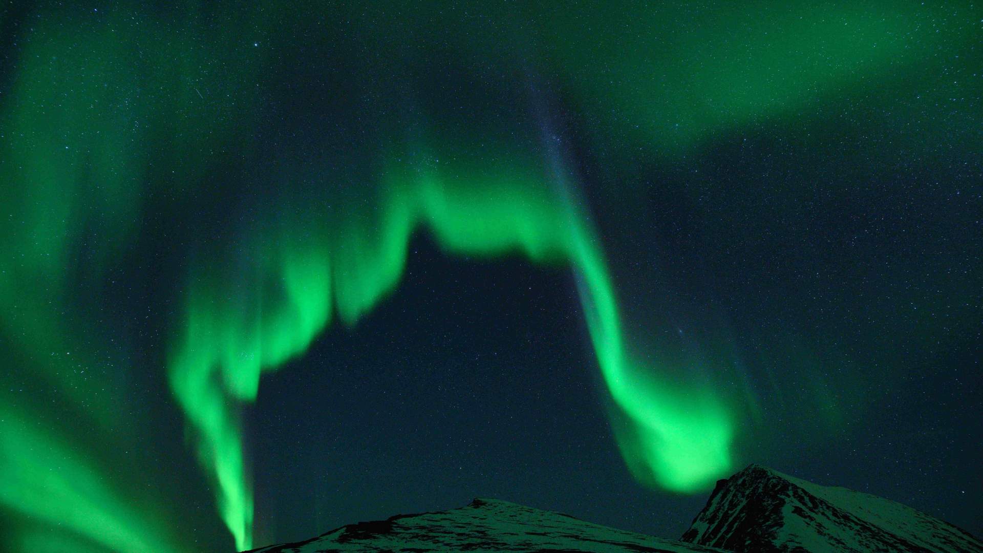 The Dancing Lights