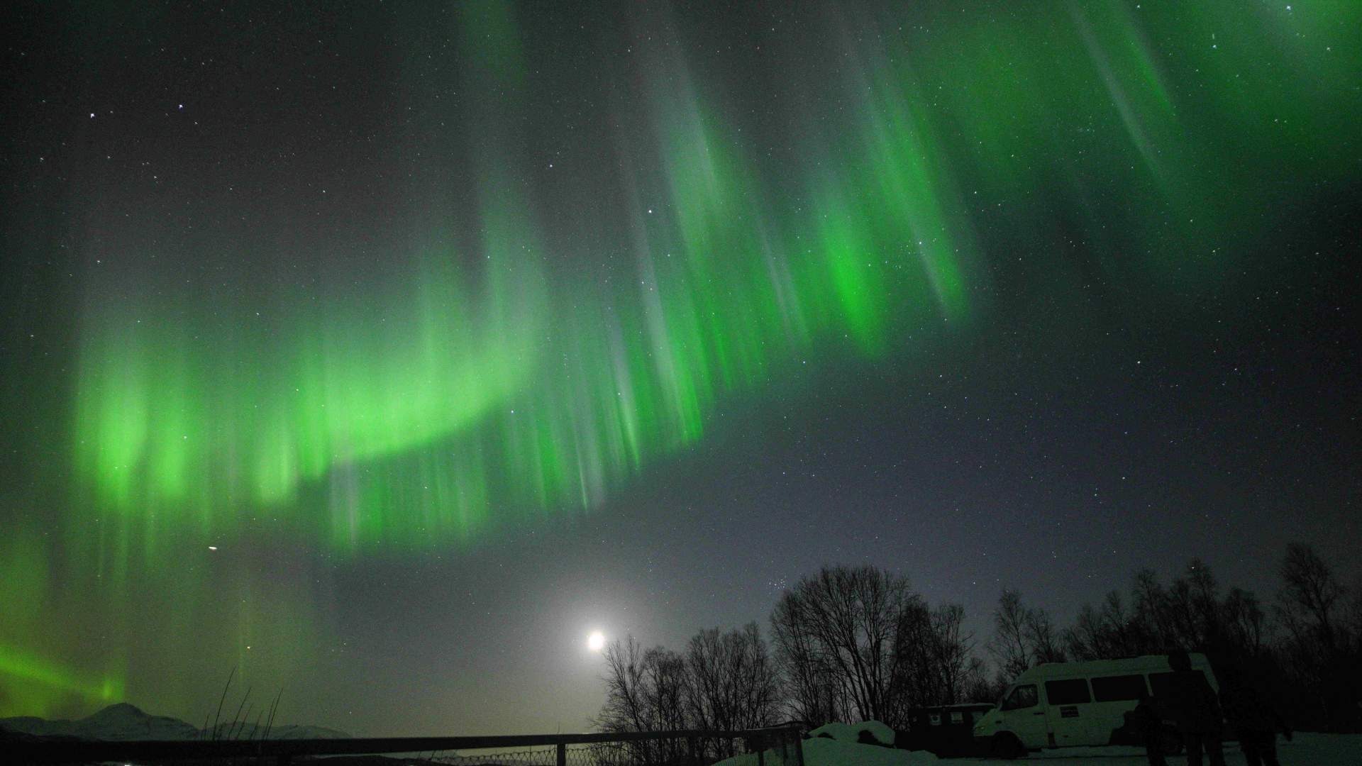 The Dancing Lights