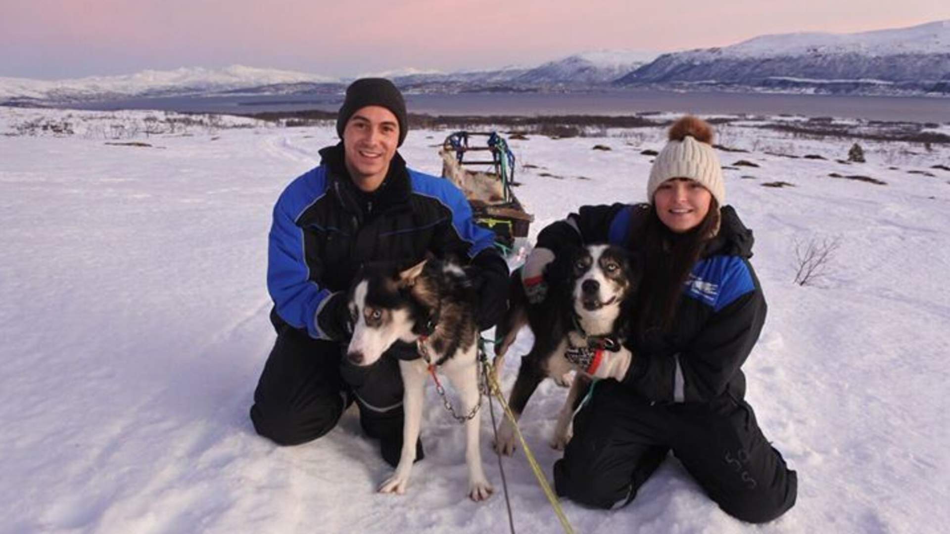 Hundekjøring dagtid uten fører