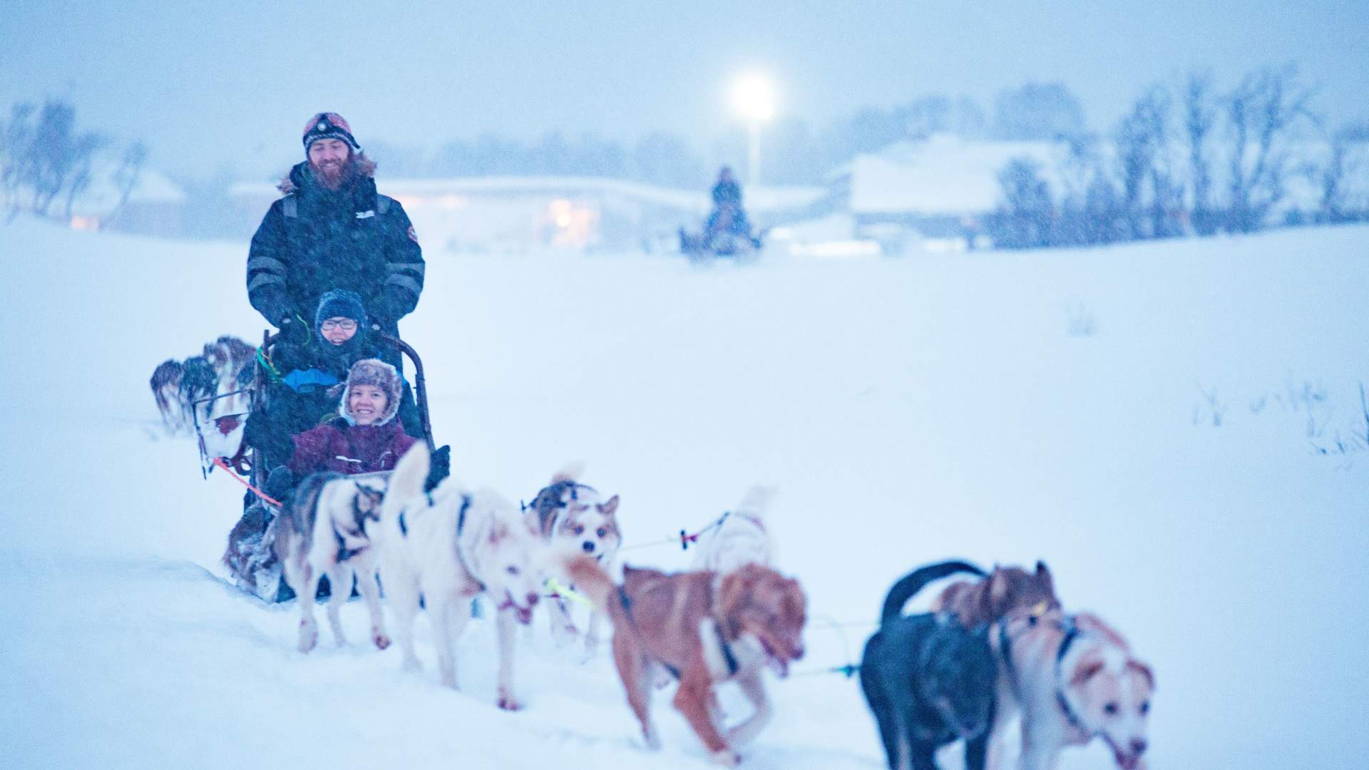 Hundesledetur dagtid med fører