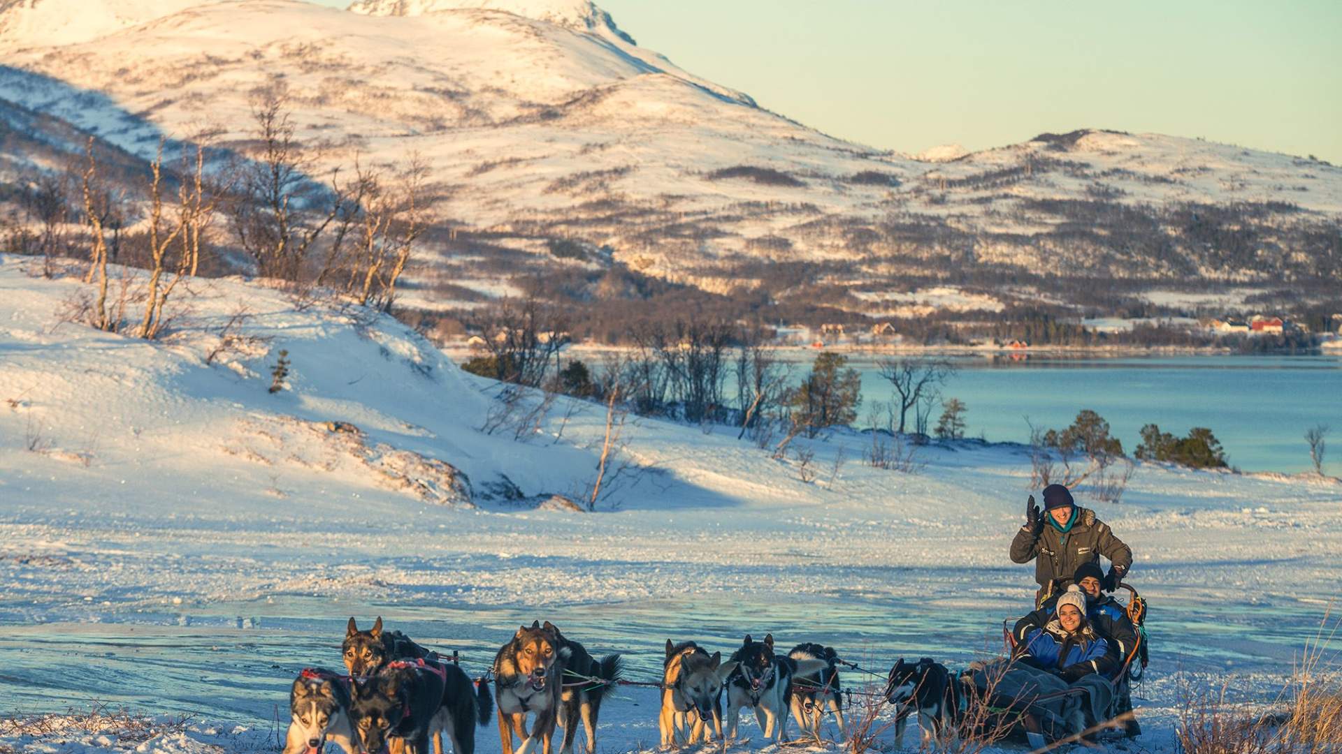 Hundesledetur dagtid med fører