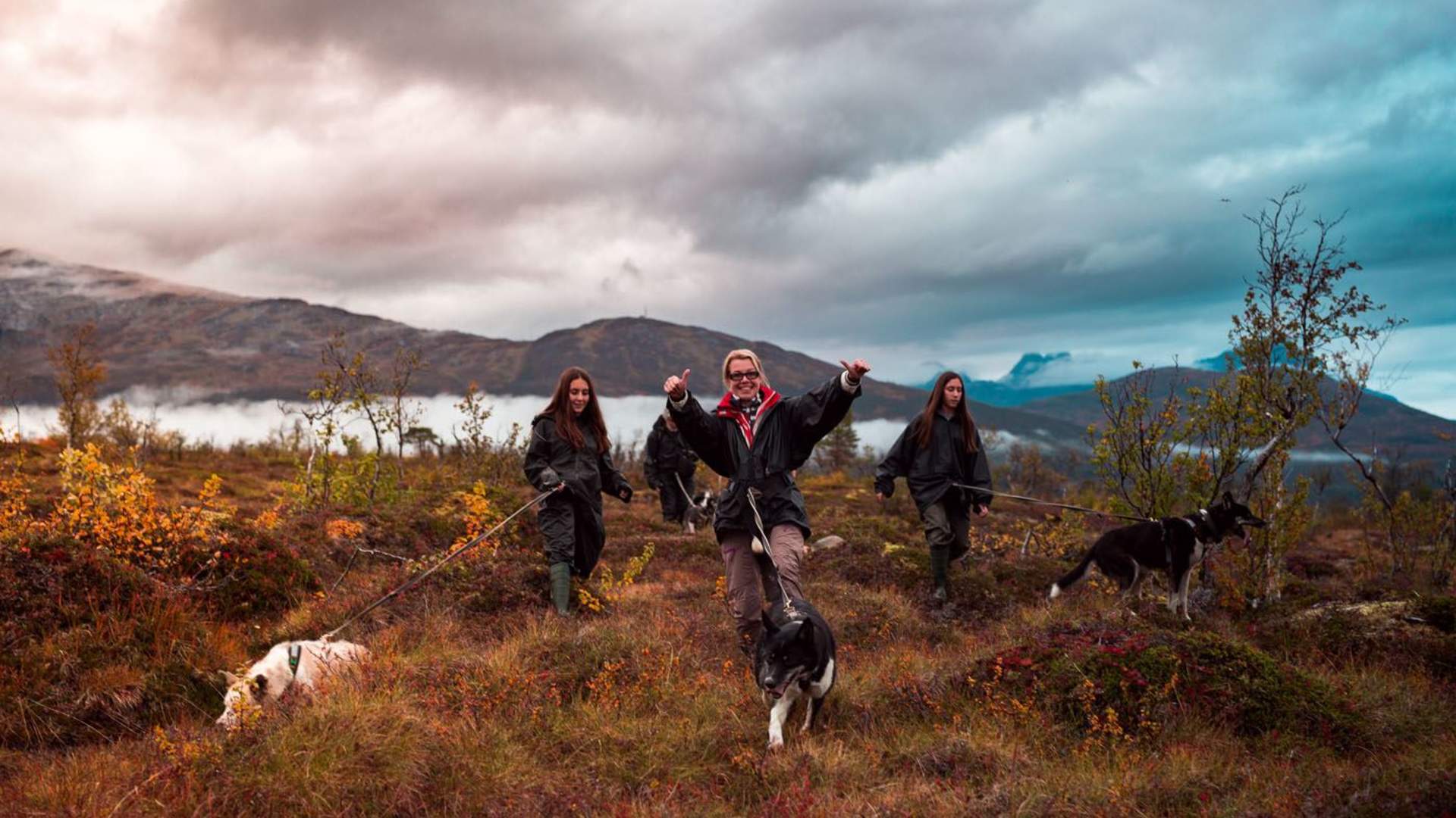 Nordlyscamp og vandretur med husky eller valpetrening