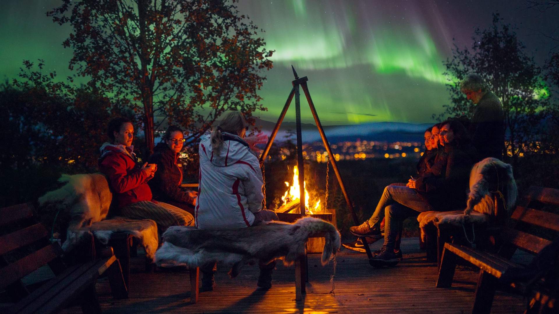 Nordlyscamp og vandretur med husky eller valpetrening