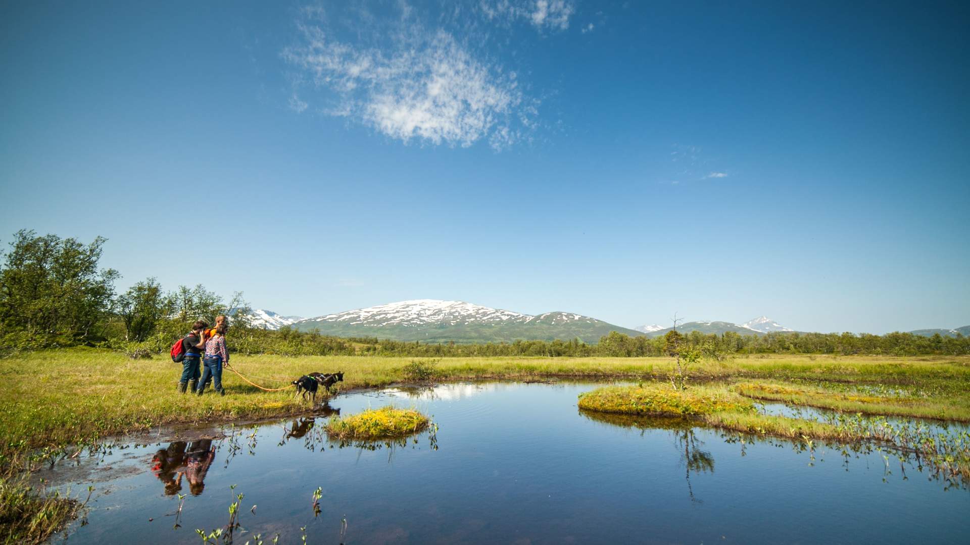 Ut på tur med huskiene og valpebesøk