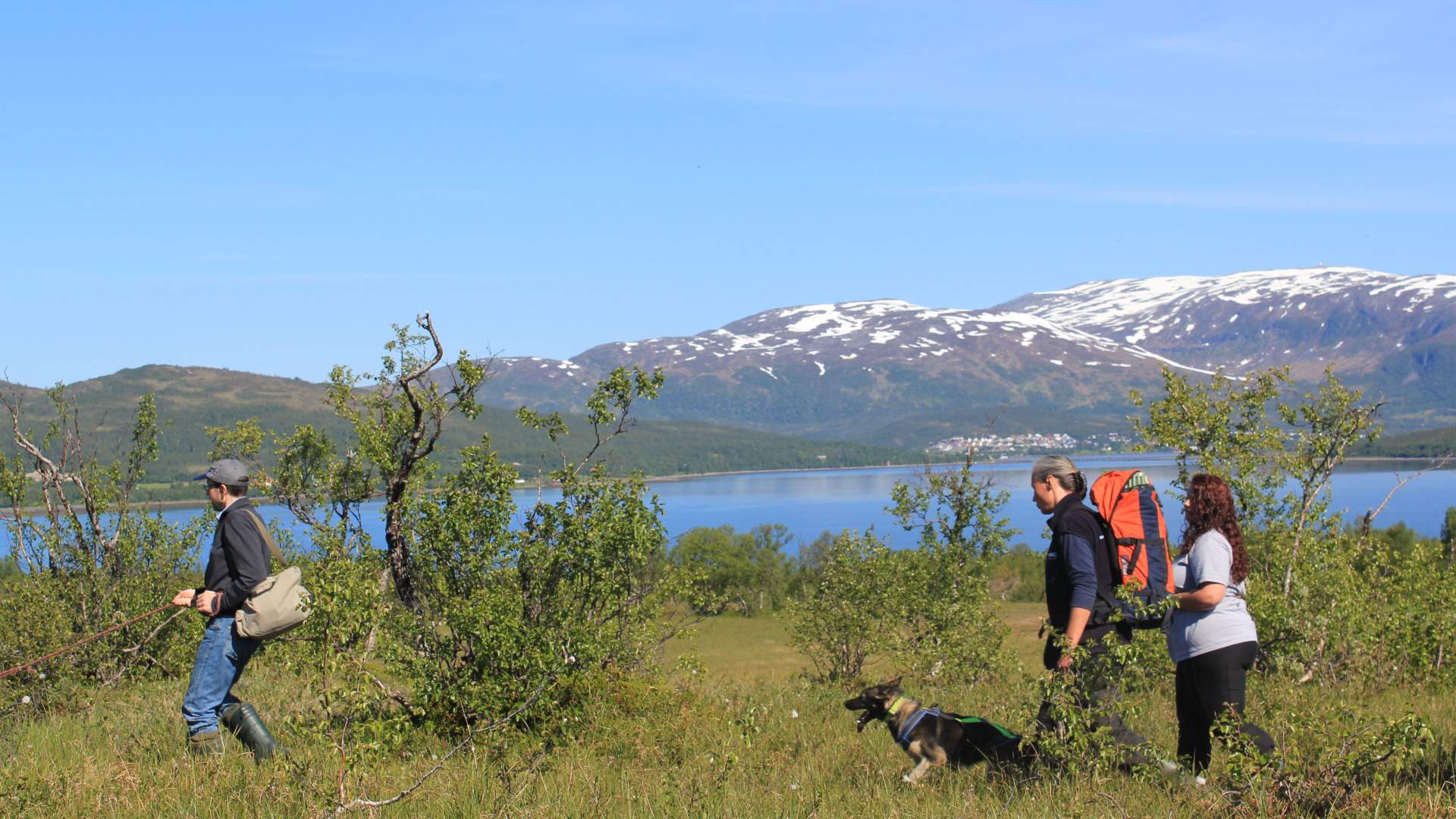 Ut på tur med huskiene og valpebesøk