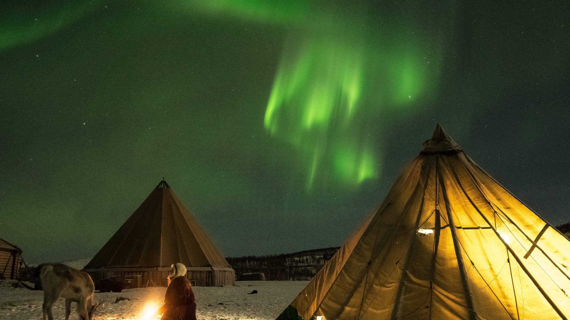 Reindeer Camp Dinner with Chance of Northern Lights