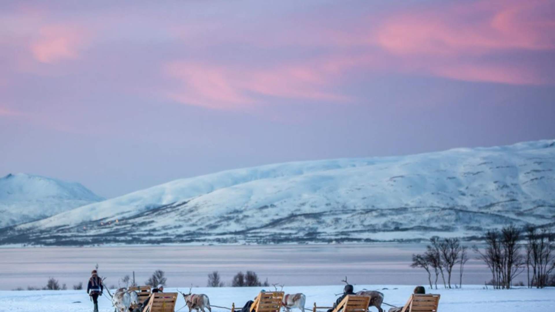 Reinsledetur, Reinsdyrcamp Middag med Nordlyssjanser