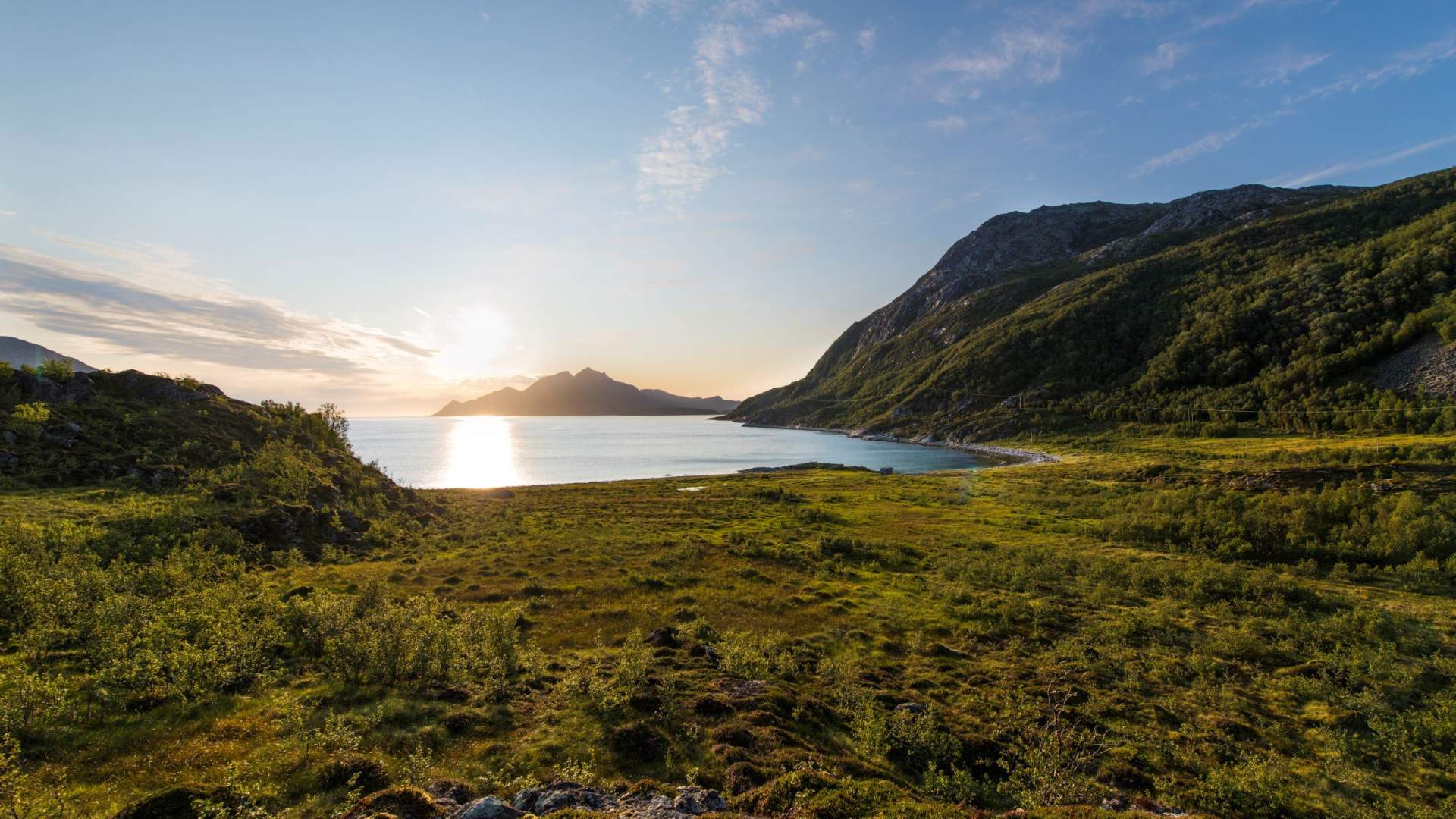 Summer Kvaløya Fjord Tour