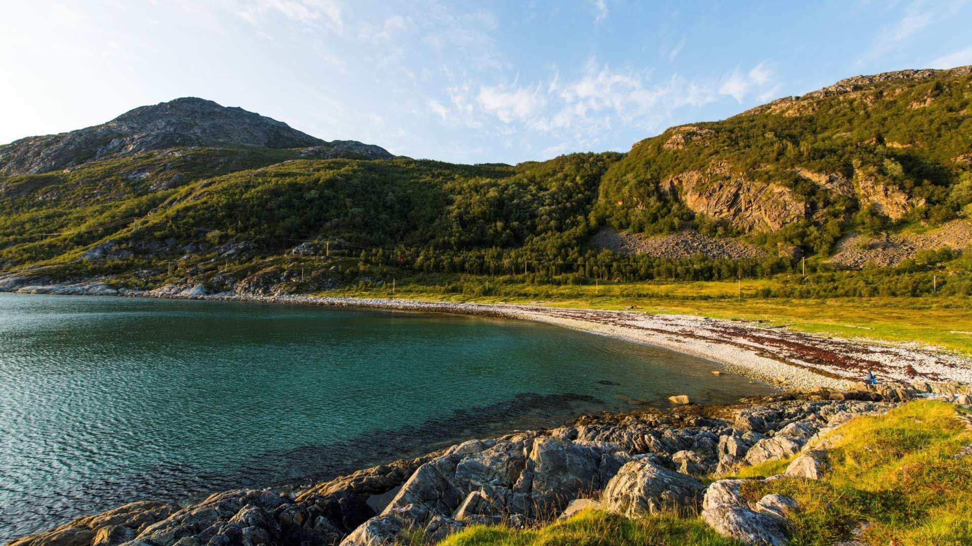 Summer Kvaløya Fjord Tour