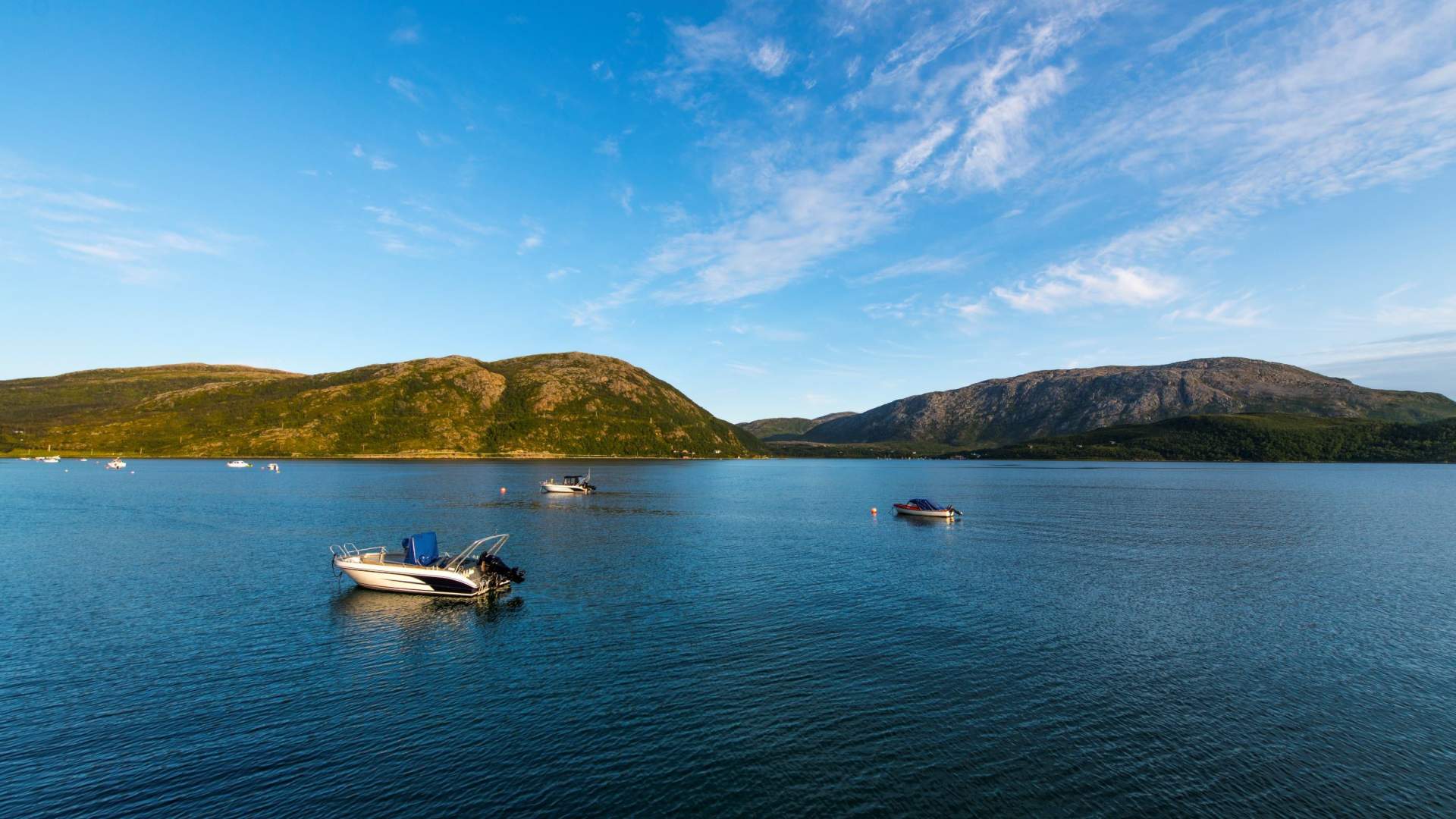 Summer Kvaløya Fjord Tour
