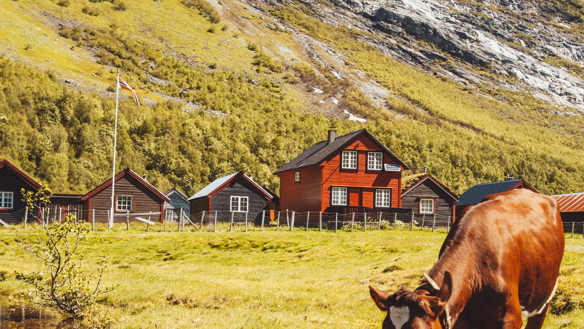 Bødalseter