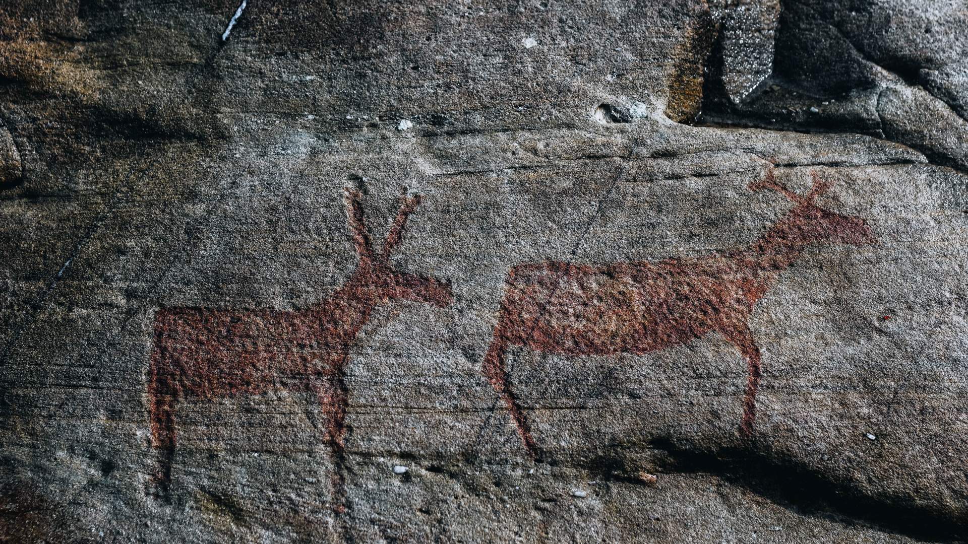 VINGEN - Naturens Kolossalmuseum