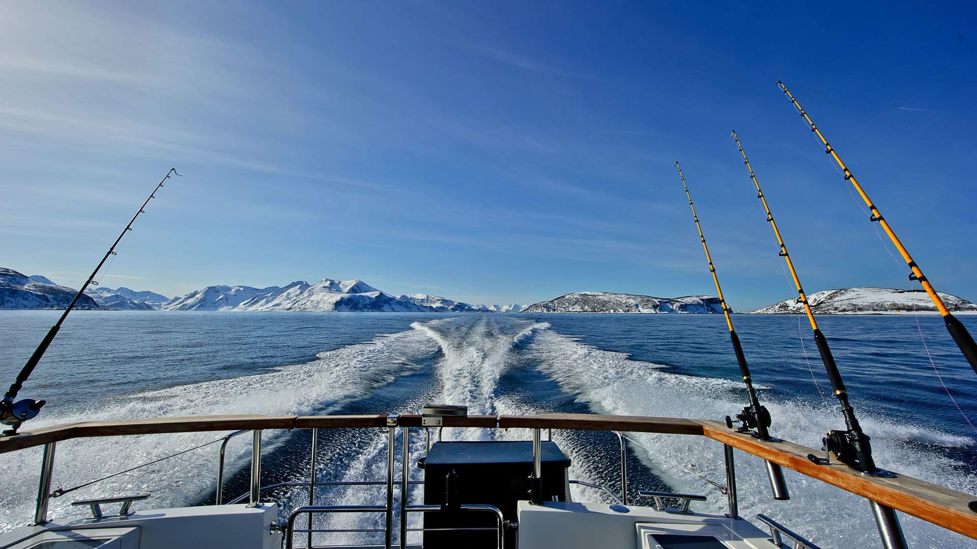 Lyngen Experience