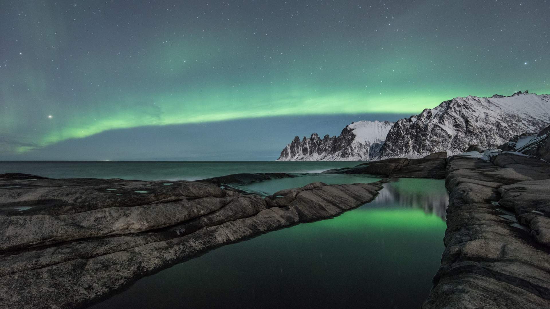 5 dagers Nyttårsekspedisjon med hvalsafari, hundesledetur og nordlys på Senja. Alt inkludert!