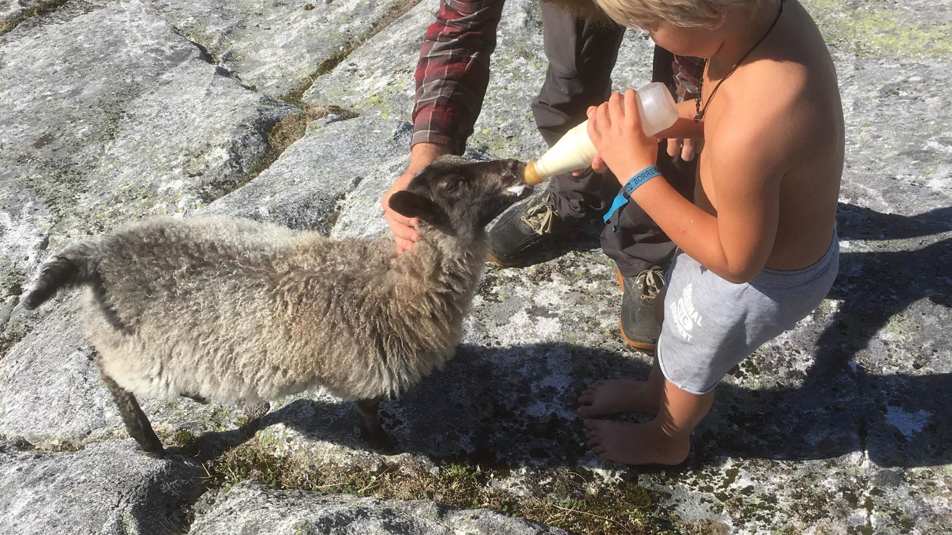 Smørhamn Handelsstad