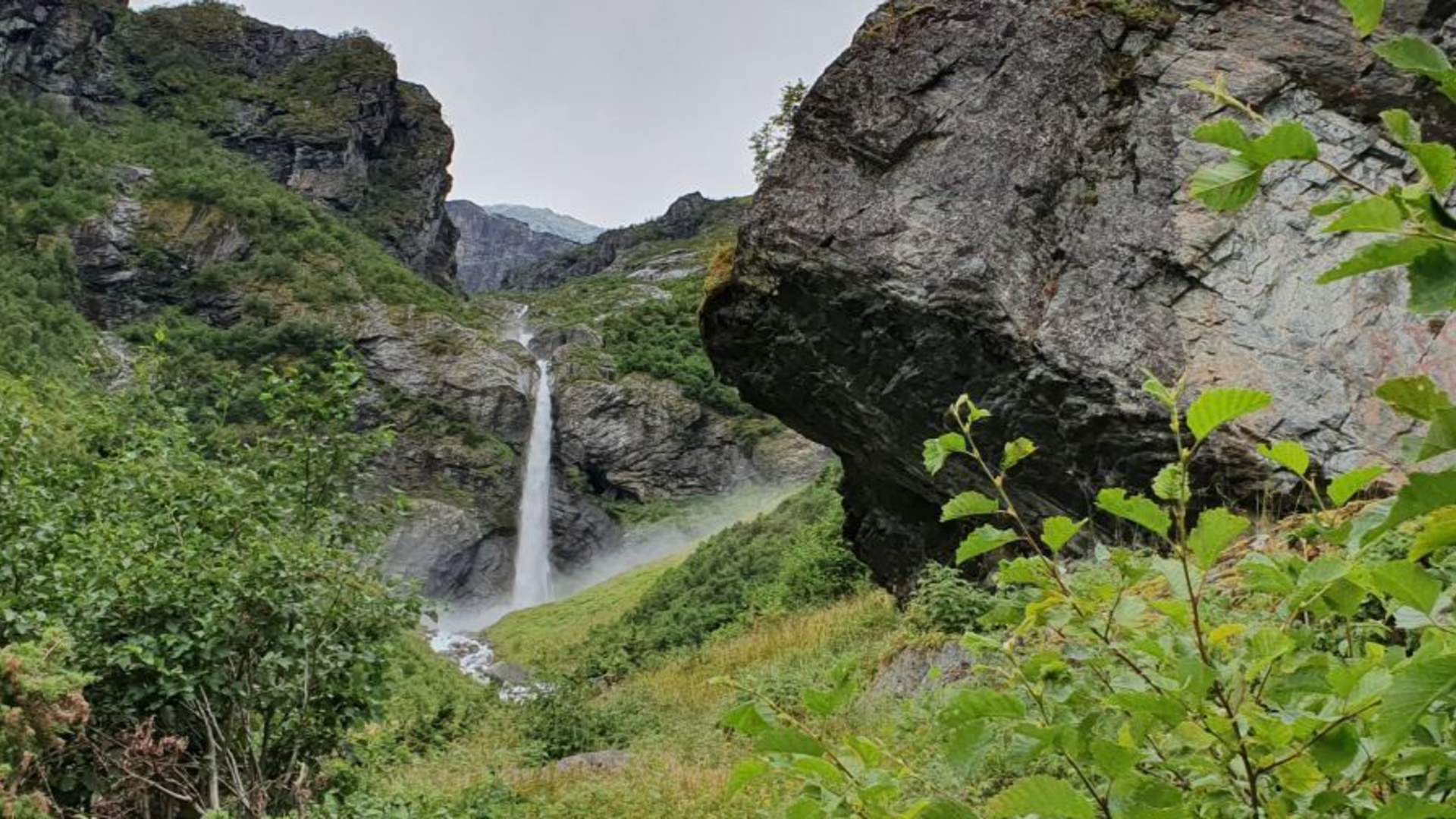 Gytridalen og Nedreholten