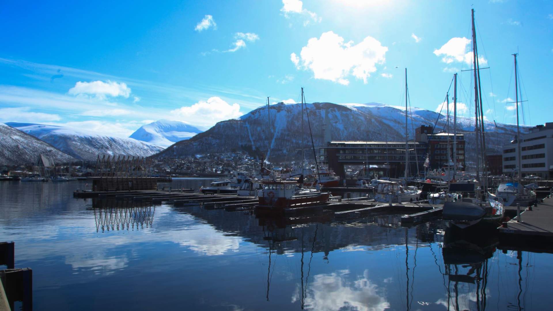 Individual Tromsø Island Tour in a Mercedes V Class - private tour