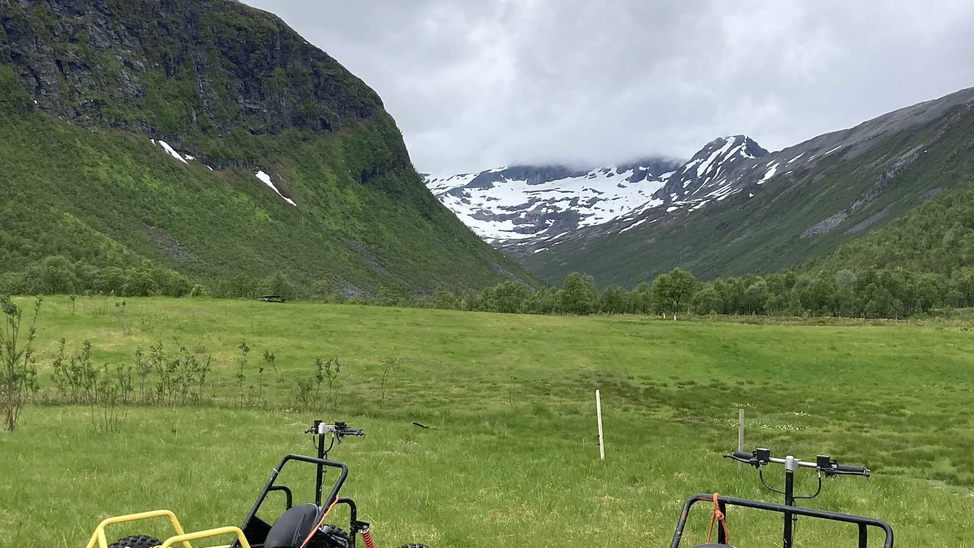 Dog sledding with wagons