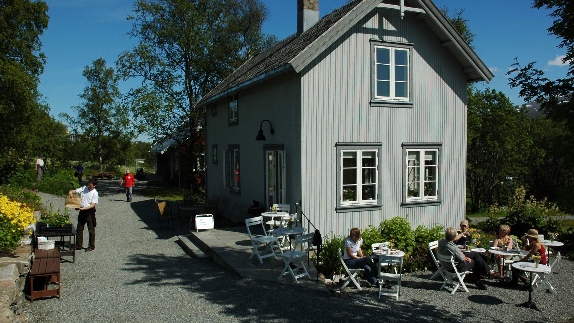 Tromsø arktisk-alpine botanisk hage