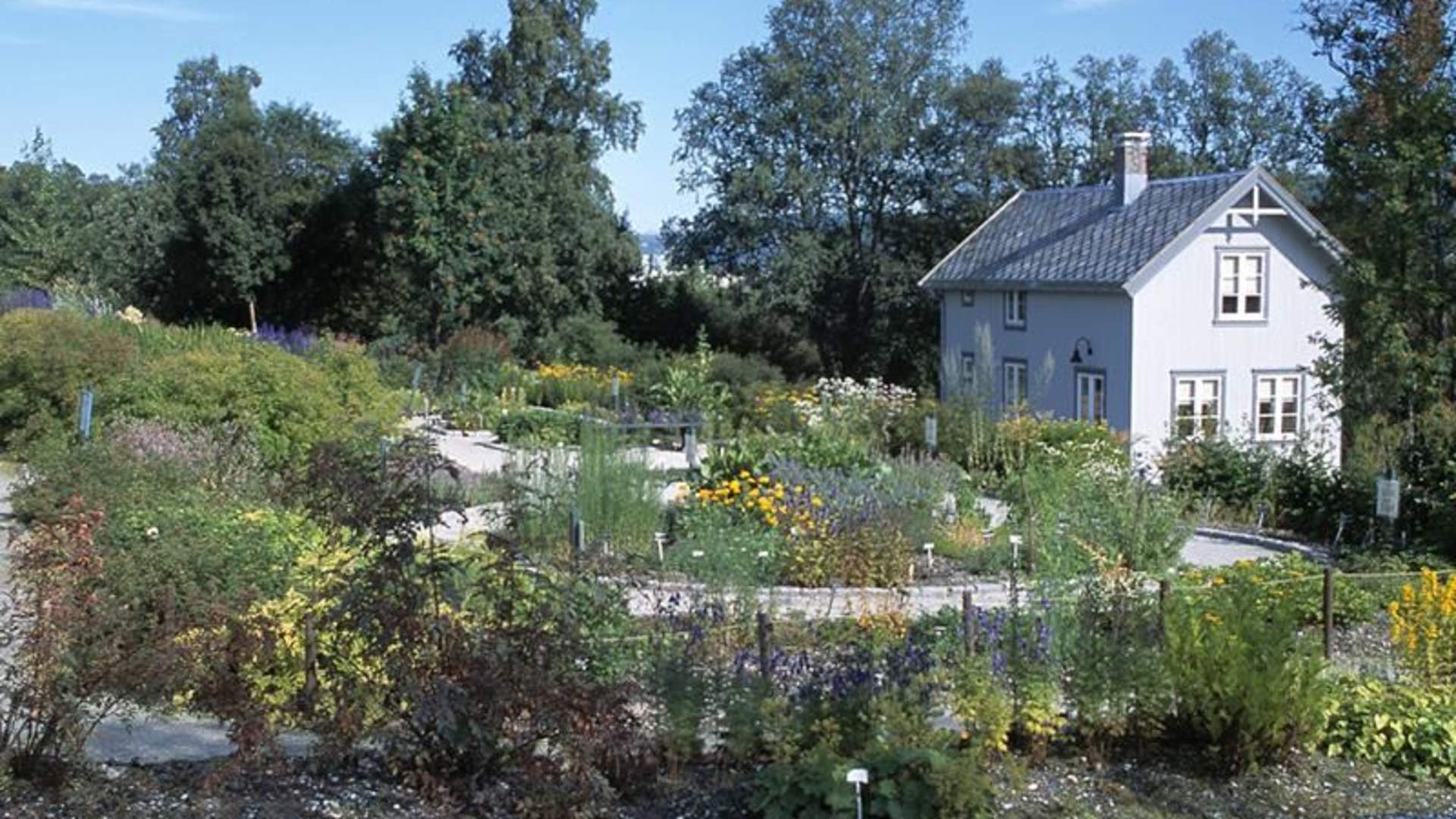 Tromsø arktisk-alpine botanisk hage