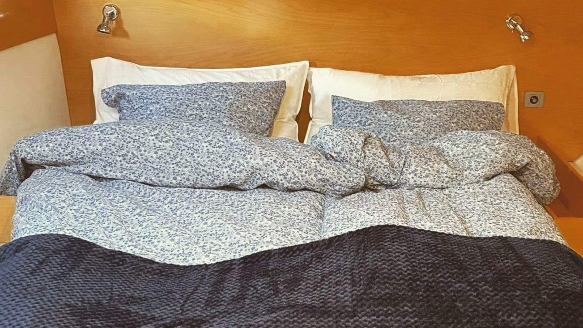 4 days whale and northern lights safari