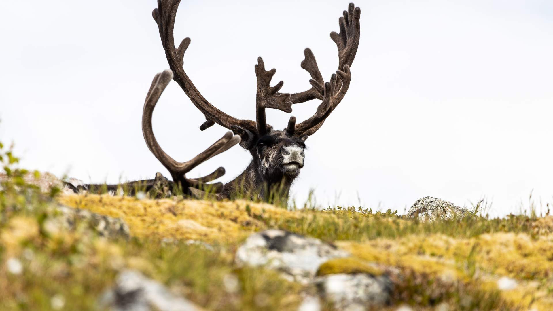 Authentic Fjords &#8211; your gateway to the wilderness