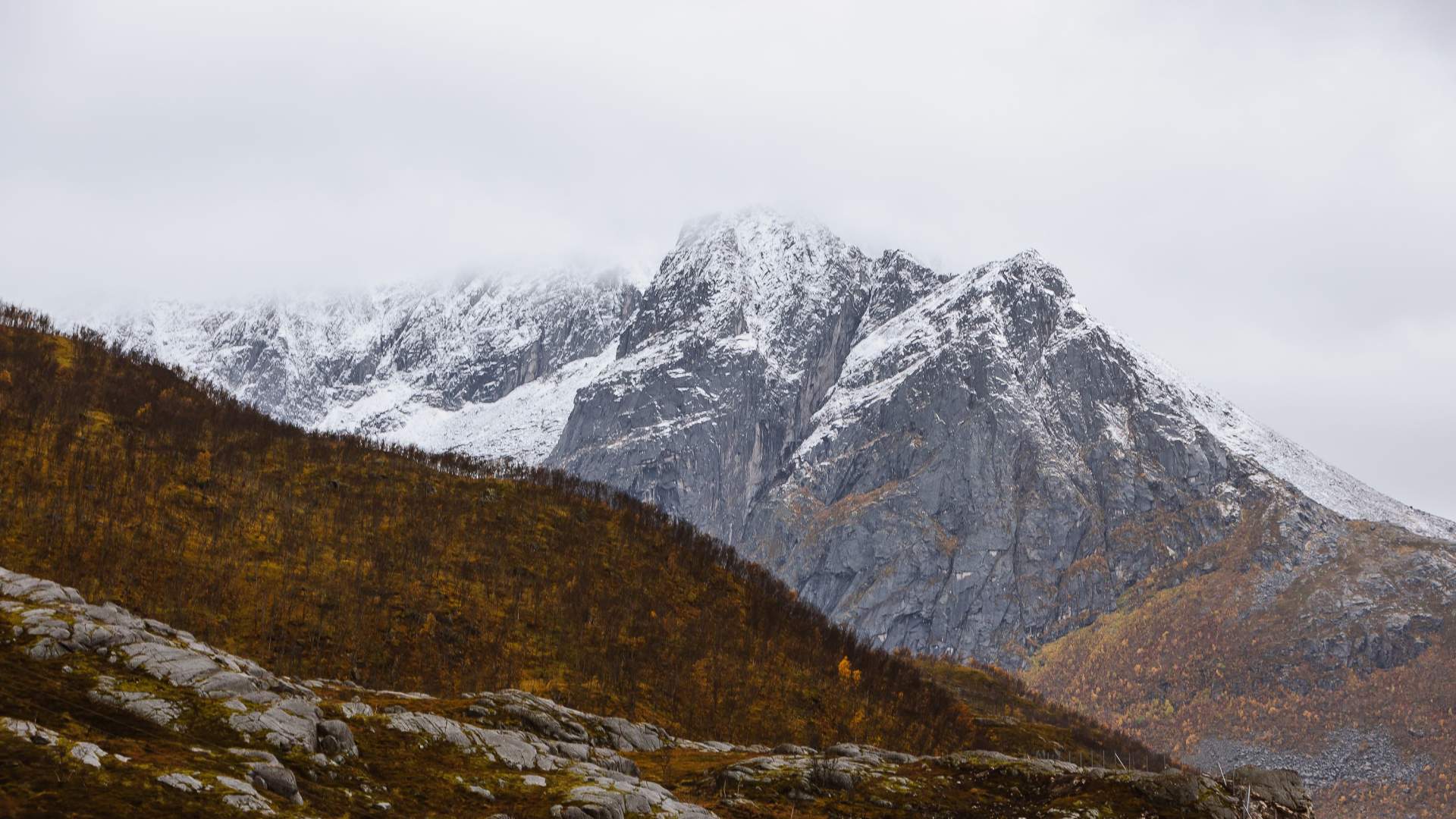 Authentic Fjords &#8211; your gateway to the wilderness