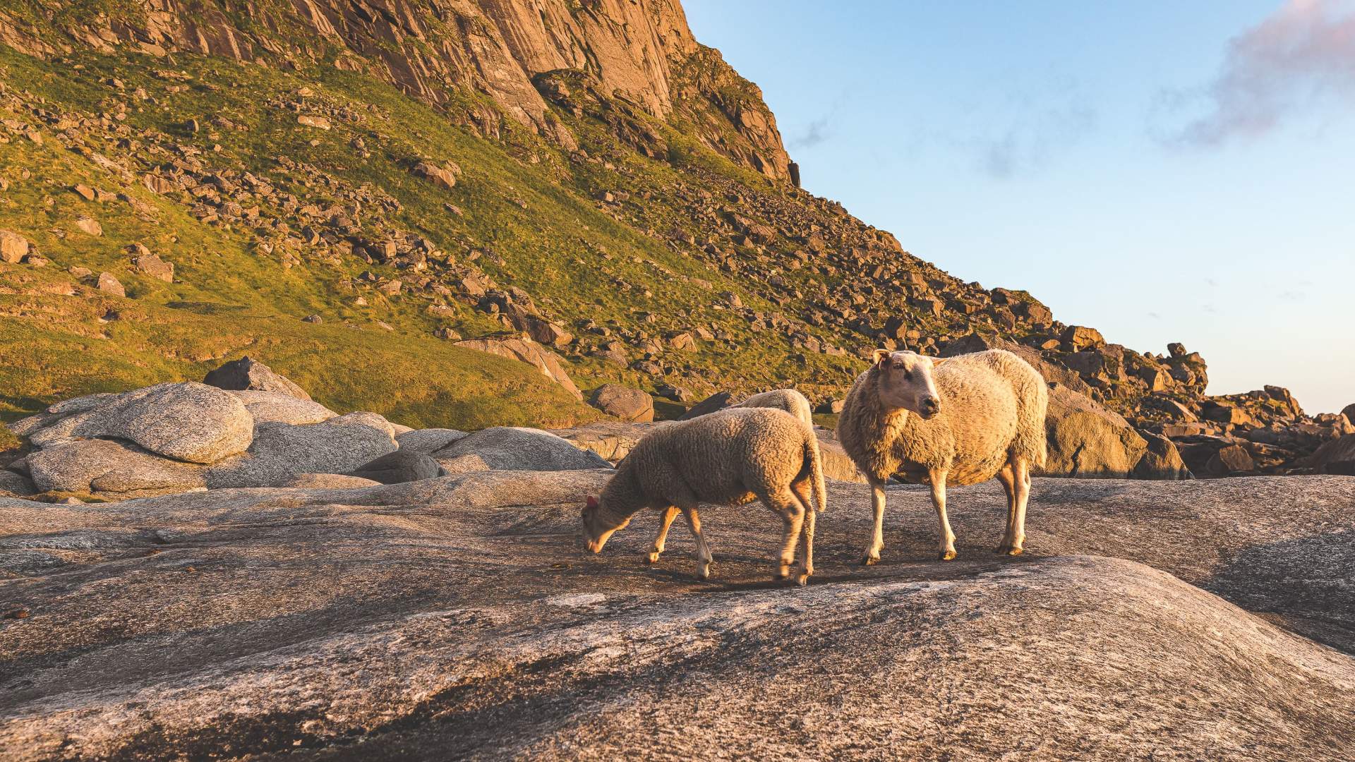 Authentic Fjords &#8211; your gateway to the wilderness