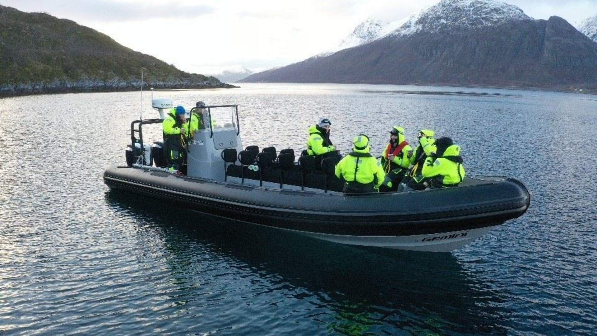 Whale Watching from Sørkjosen to Skjervøy - Reisafjord Xperience